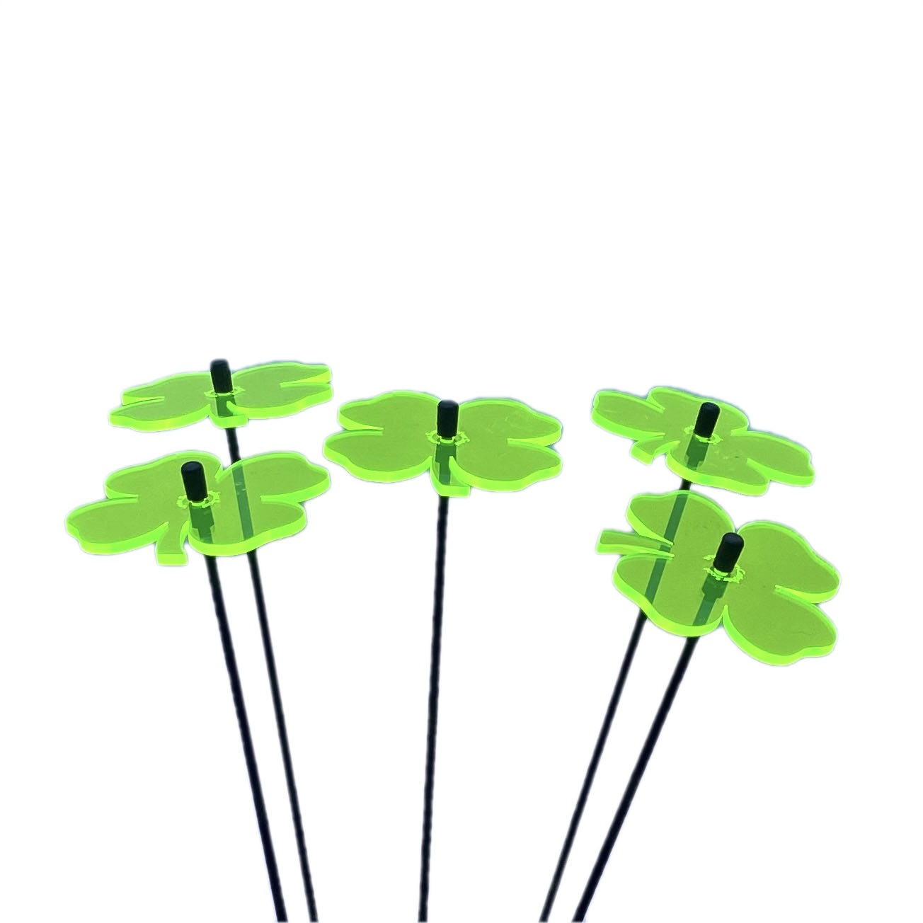 Trevor Shamrock Sales Display