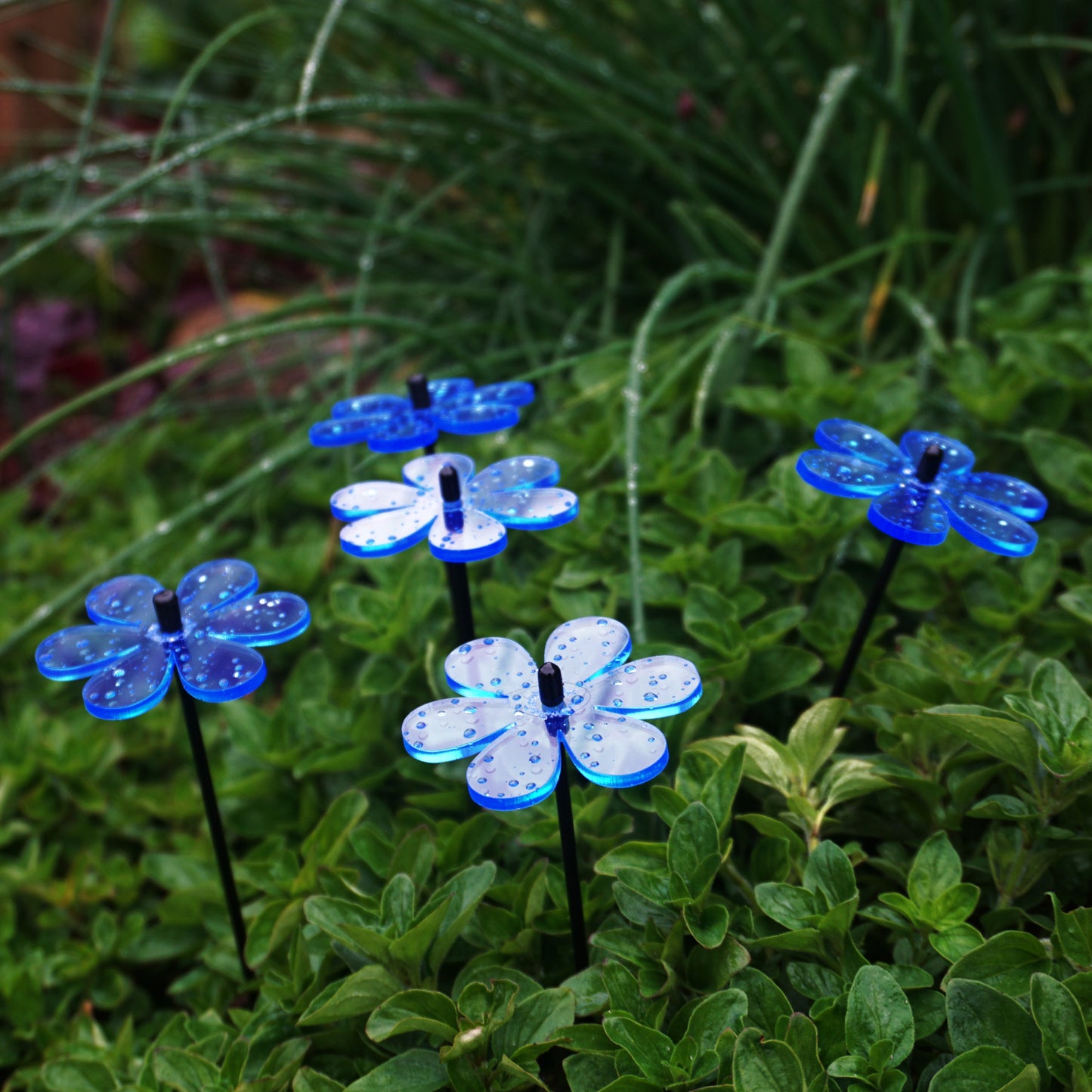 Set of 5 small SunCatchers 'Daisy', 25cm high, 6cm wide