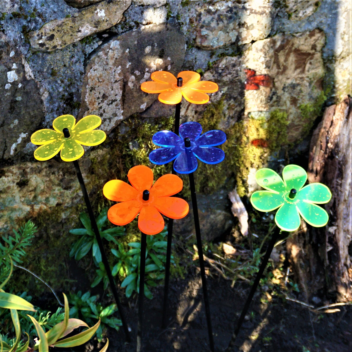 SunCatcher® Set of 5 Handmade Daisy Garden Stakes | Premium Acrylic Garden Flowers | 3 Sizes & 6 Colours