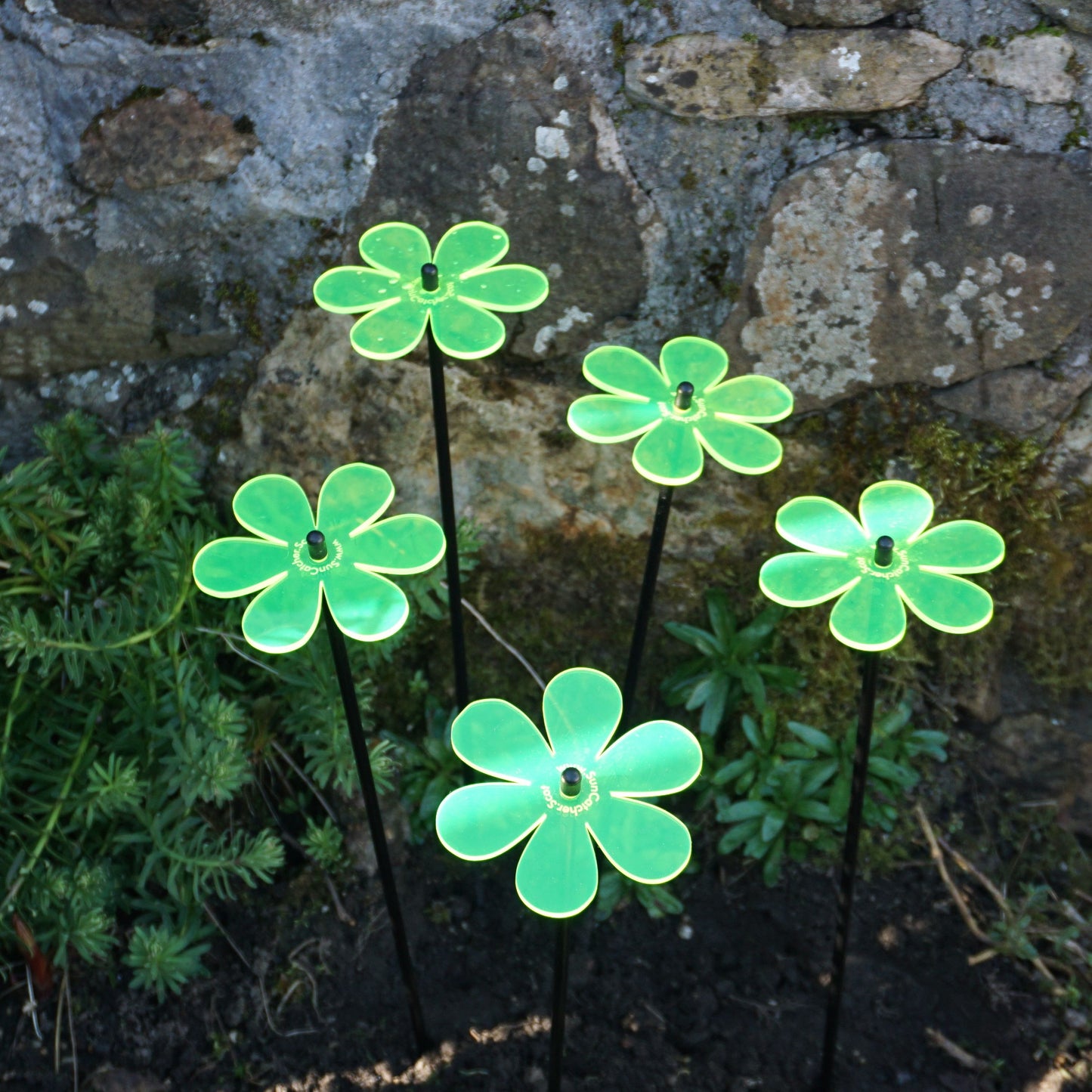 SunCatcher Set of 5: Daisy colourful fluorescent garden ornament stake light dec