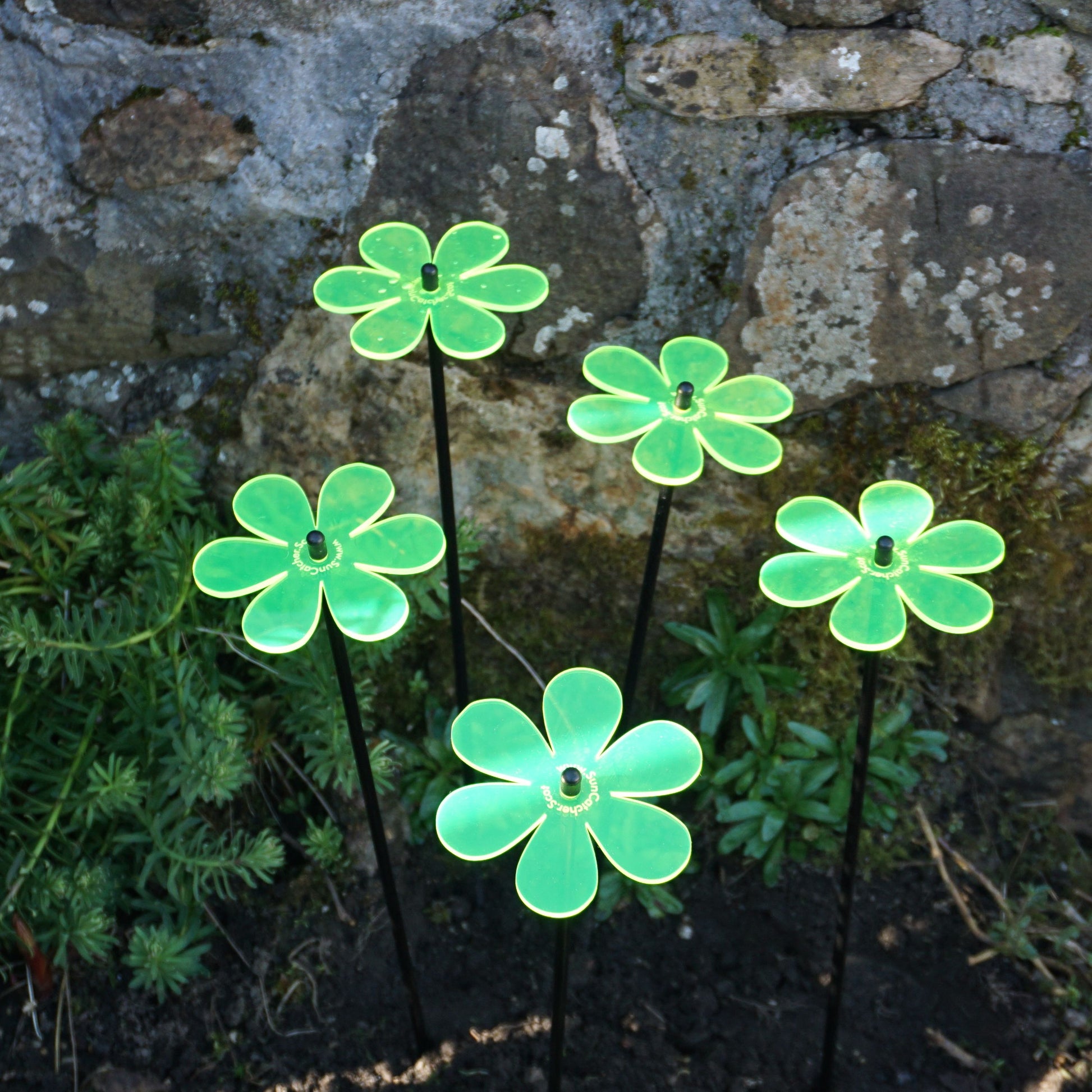SunCatcher Set of 5: Daisy colourful fluorescent garden ornament stake light dec