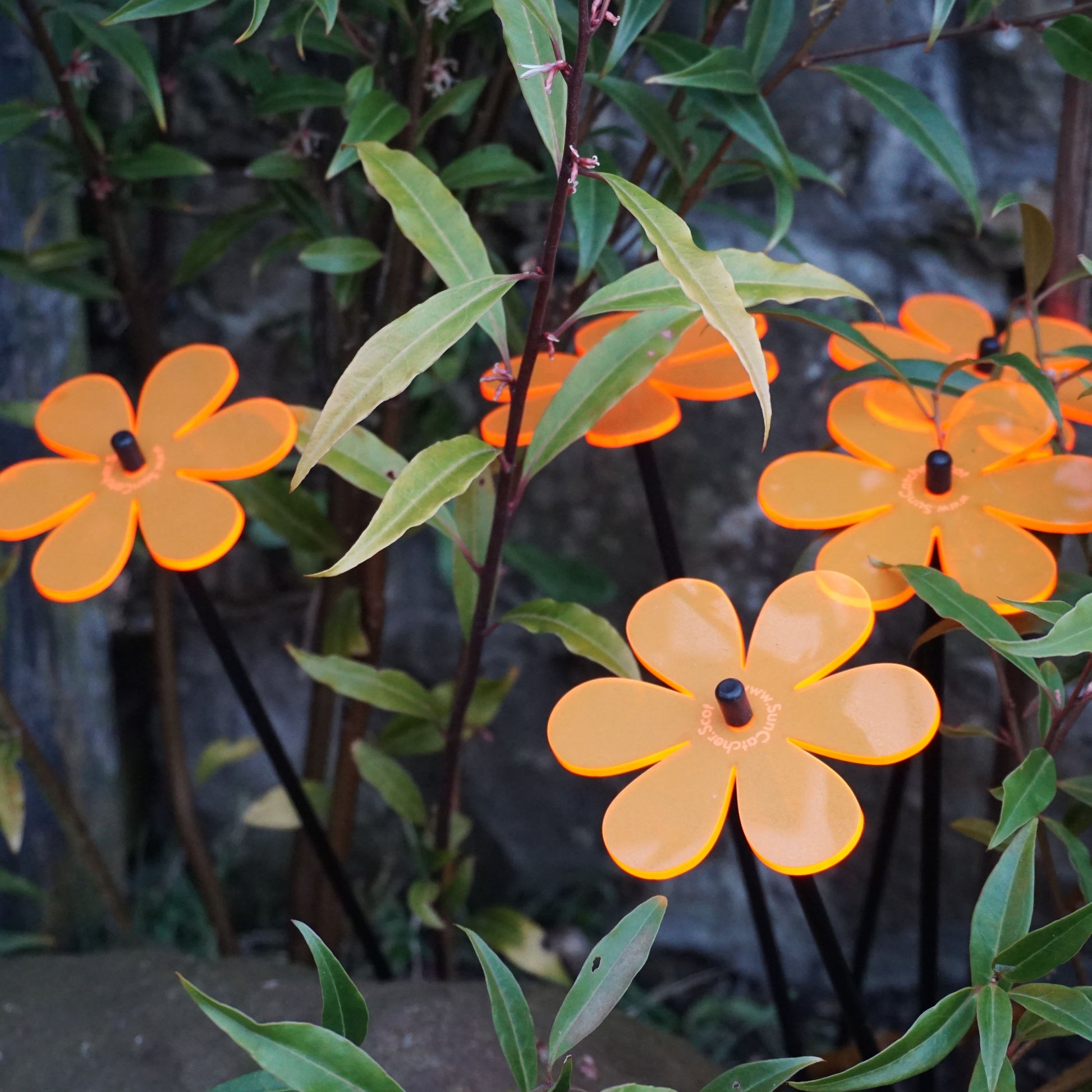 medium SunCatcher Garden Decor Ornament Set of 5 Daisy in orange location