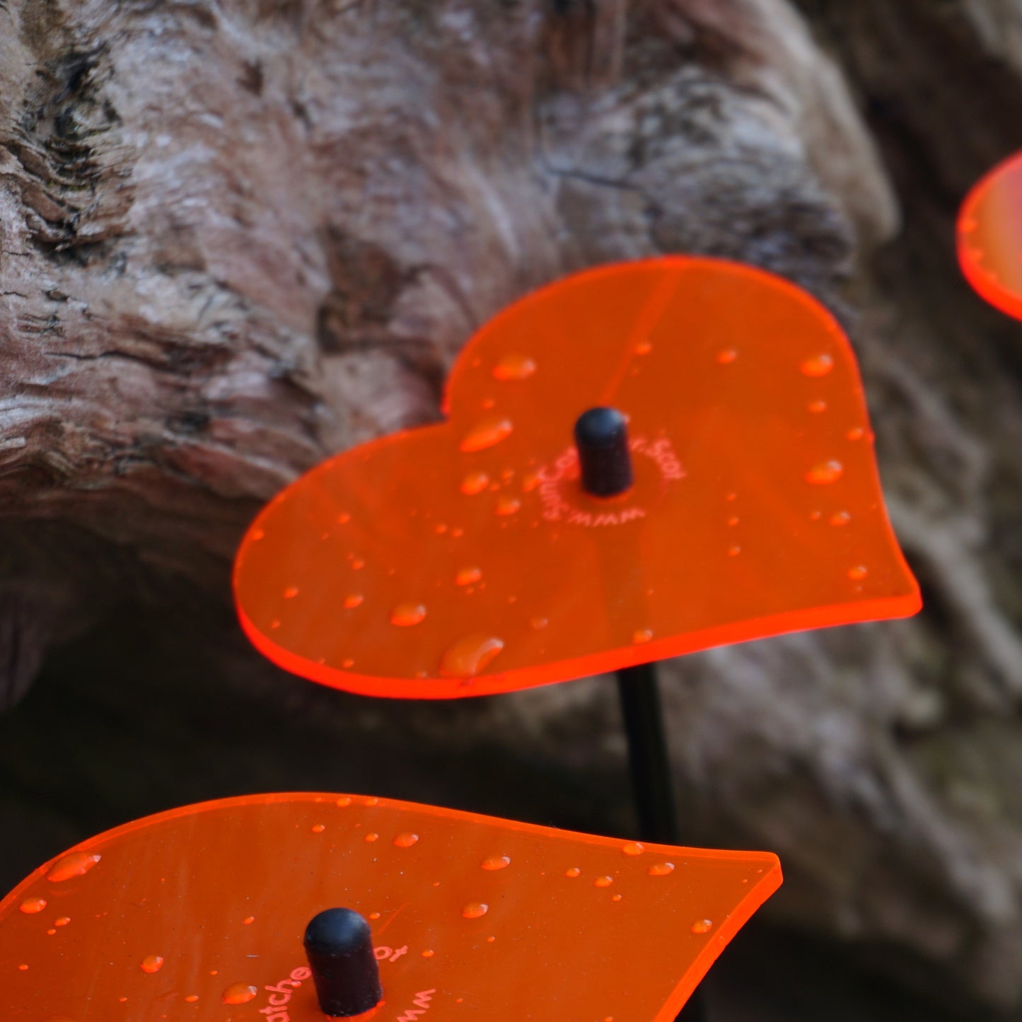 SunCatcher Set of 5: Heart | GLOWS Dawn to Dusk | Colourful Garden Ornament Gift
