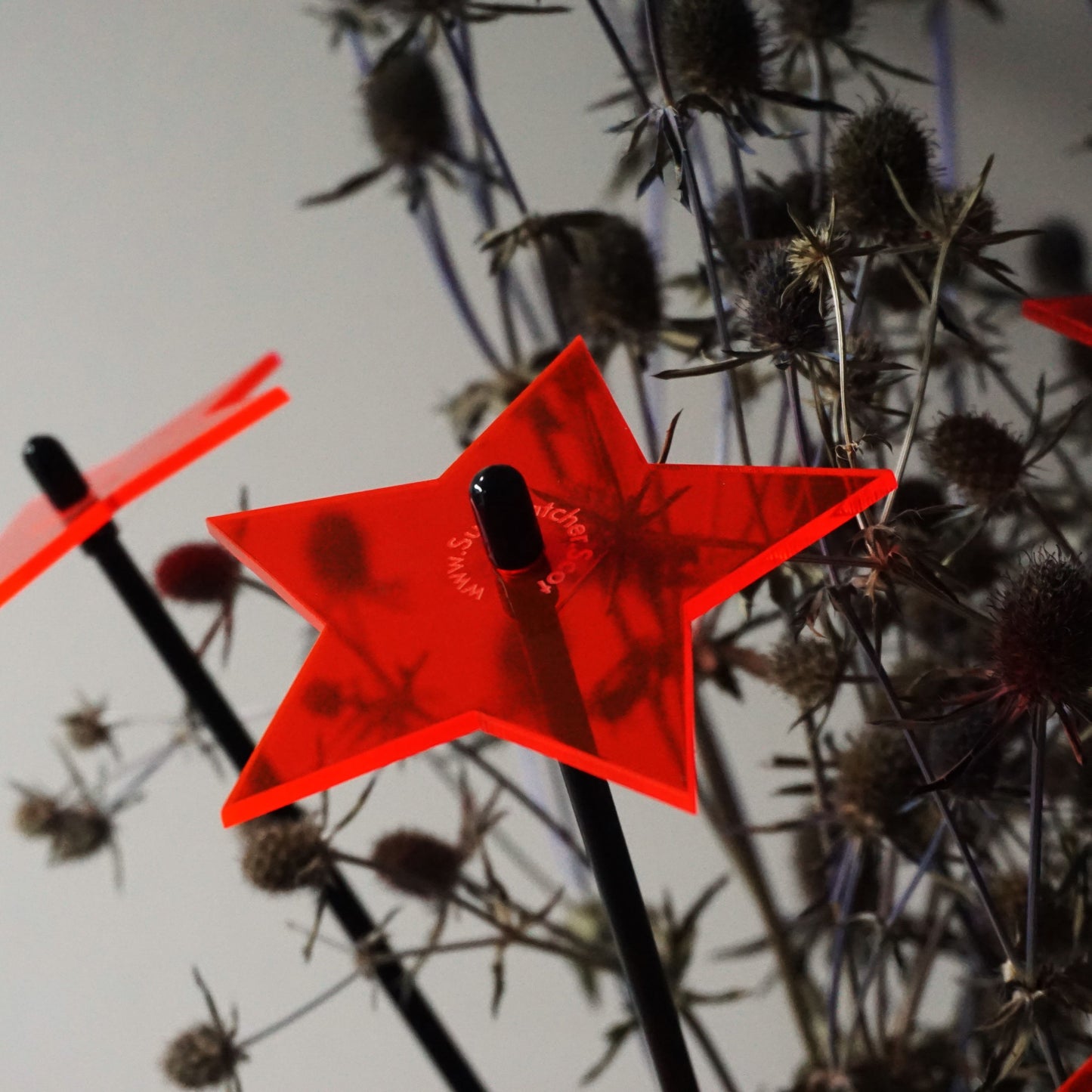SunCatcher Set of 5: Stars| GLOW DAWN to DUSK| colourful garden ornament gift