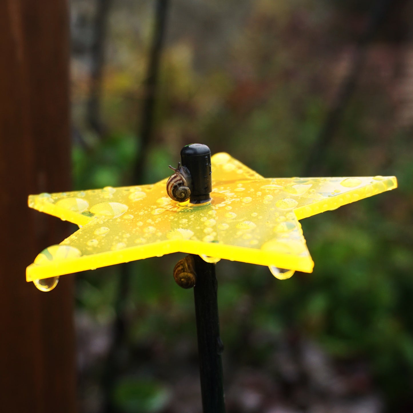 SunCatcher Set of 5: Stars| GLOW DAWN to DUSK| colourful garden ornament gift