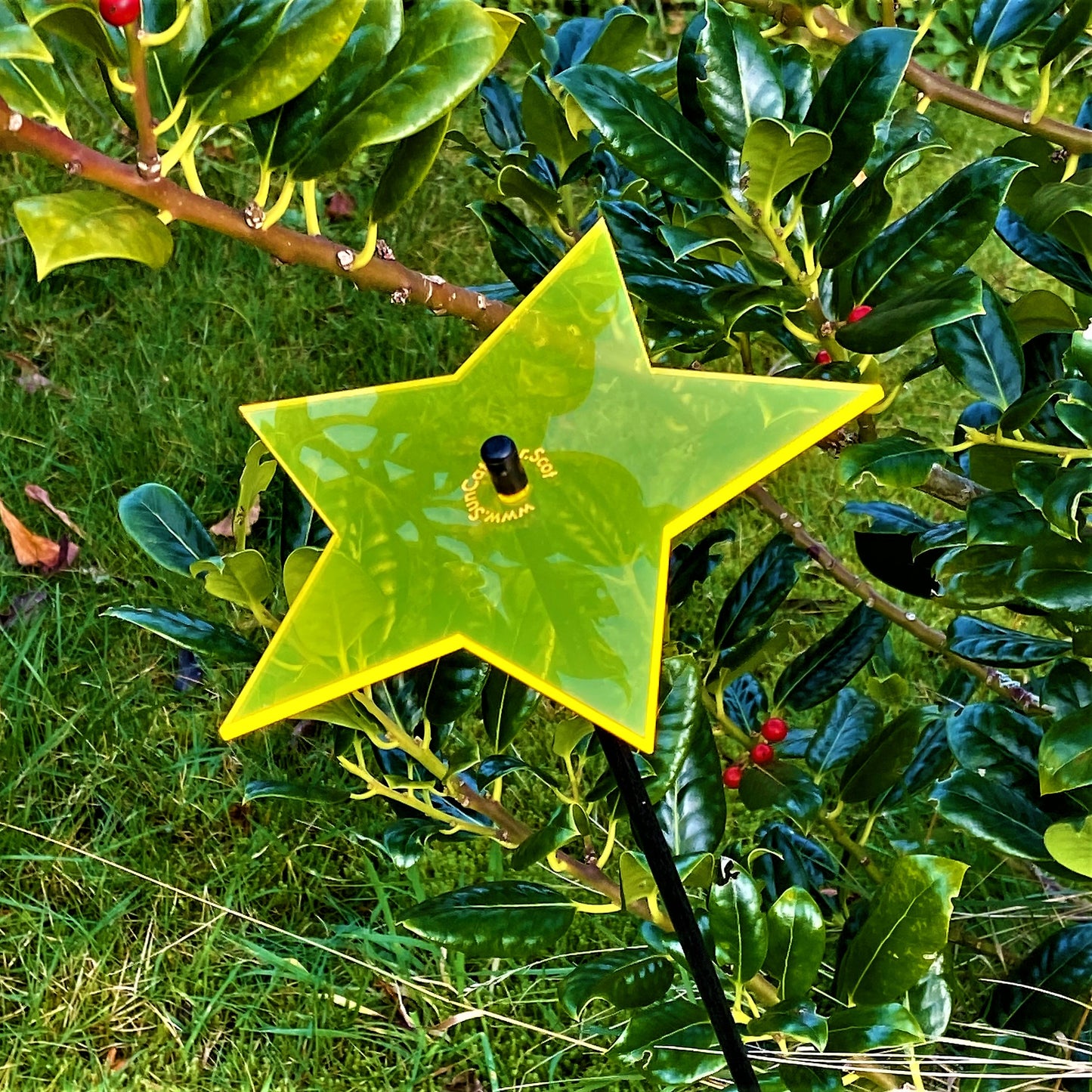 Large SunCatcher Garden Décor Ornament 'Shining Star'