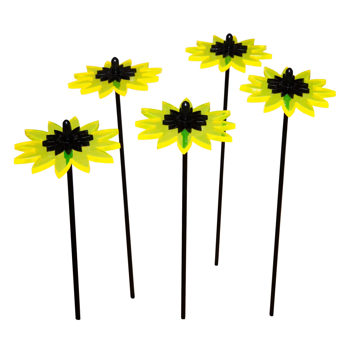 Sales Display Trevor Sunflower