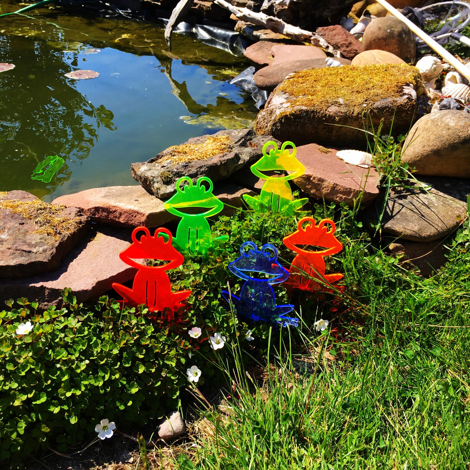 SunCatcher Set of 5 'Happy Frogs' fluorescent garden stake for pot and pond