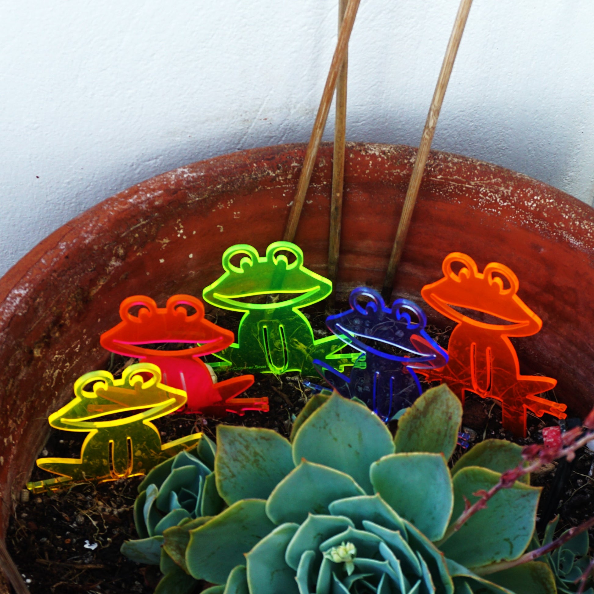 SunCatcher Set of 5 'Happy Frogs' fluorescent garden stake for pot and pond