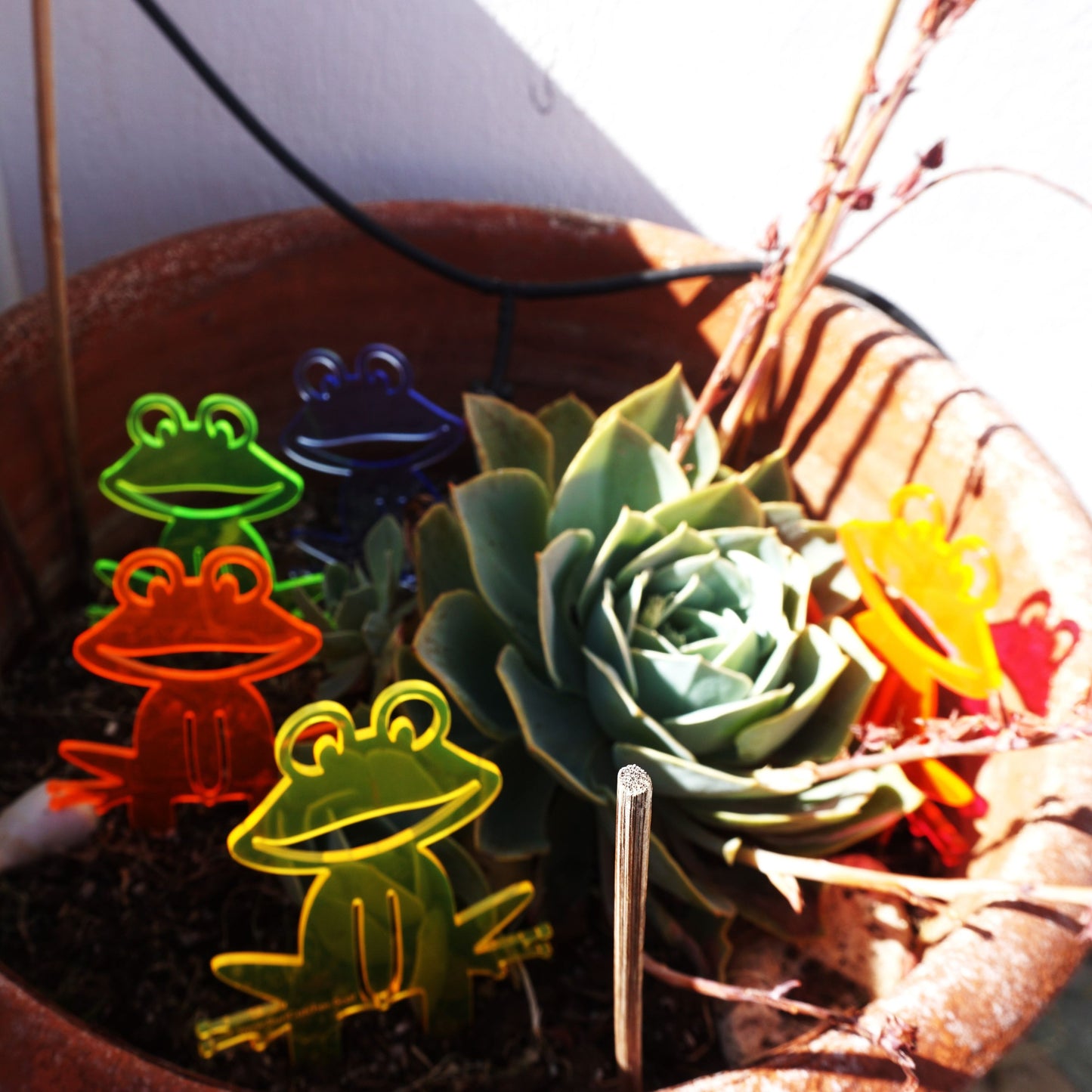 SunCatcher Set of 5 'Happy Frogs' fluorescent garden stake for pot and pond