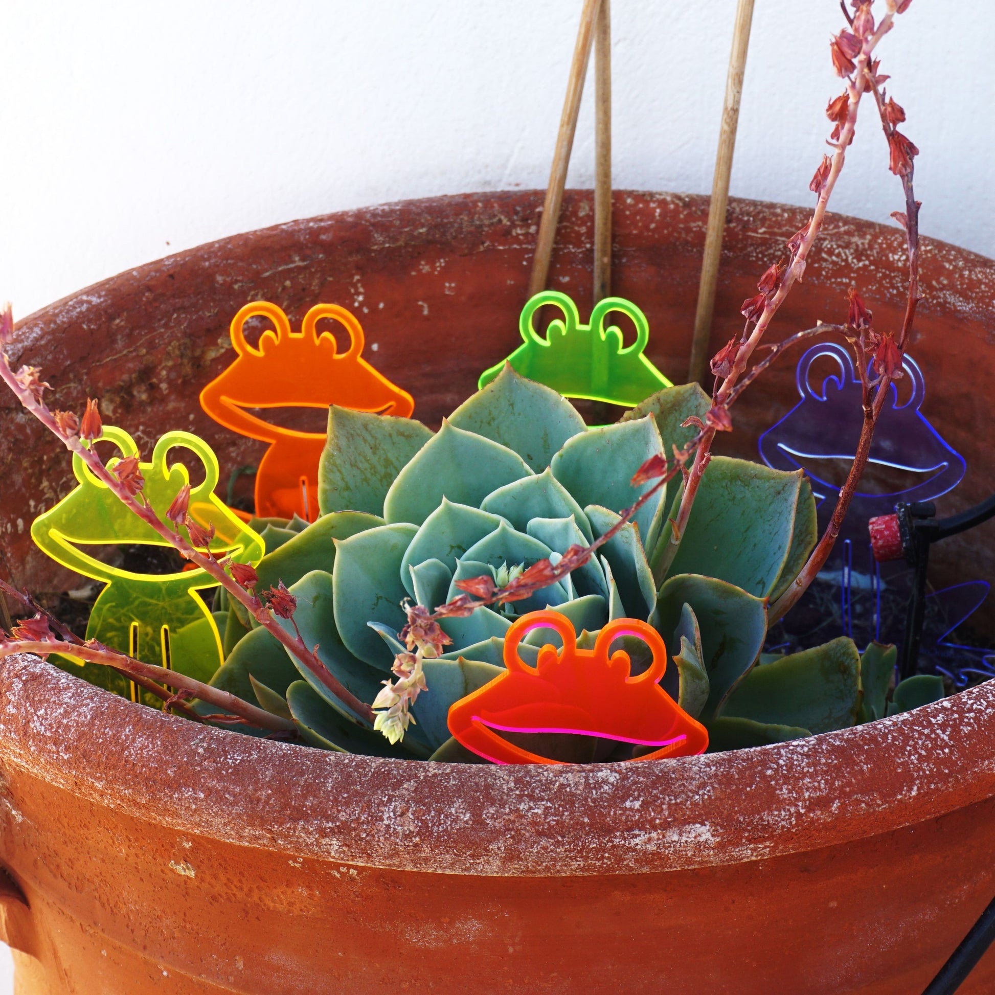 SunCatcher Set of 5 'Happy Frogs' fluorescent garden stake for pot and pond