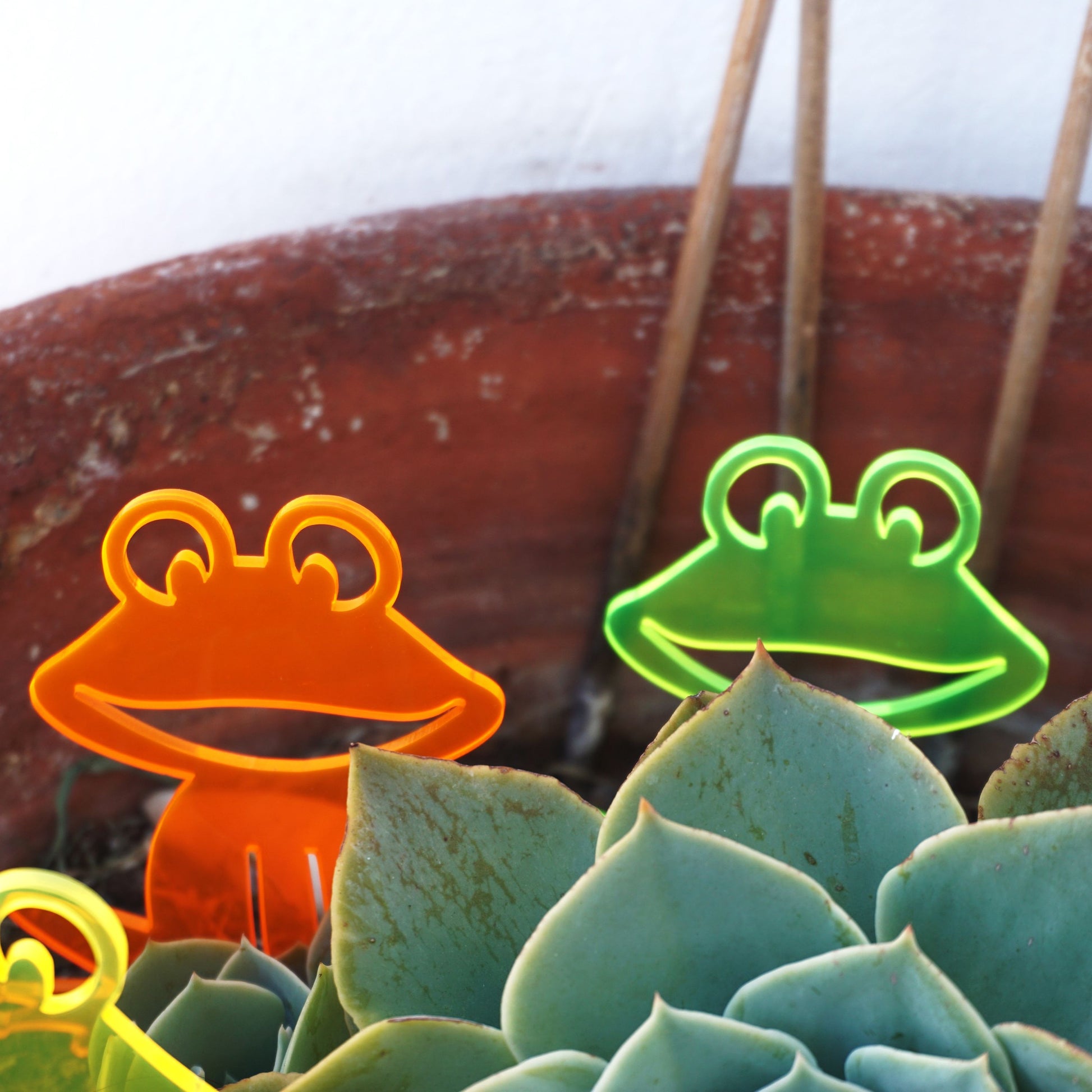 SunCatcher Set of 5 'Happy Frogs' fluorescent garden stake for pot and pond