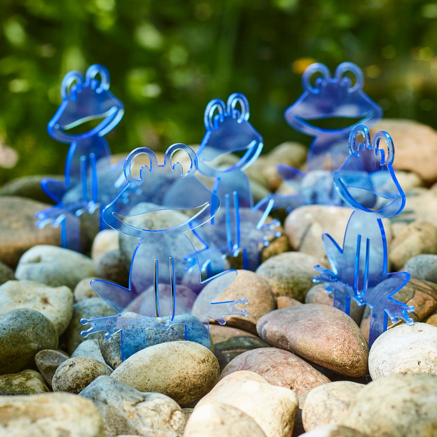 SunCatcher Set of 5 'Happy Frogs' fluorescent garden stake for pot and pond