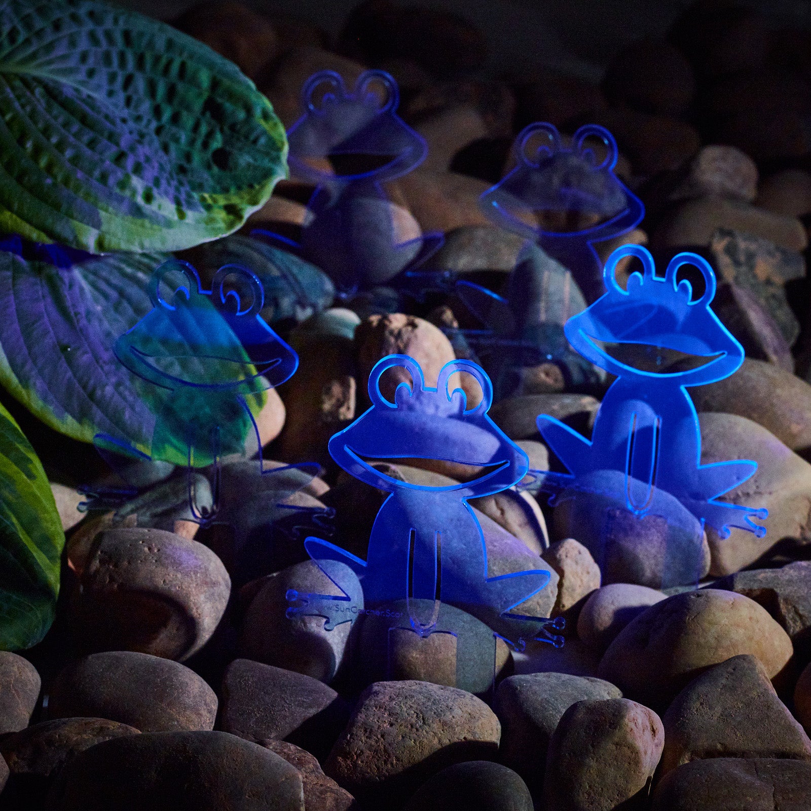 SunCatcher Set of 5 'Happy Frogs' fluorescent garden stake for pot and pond