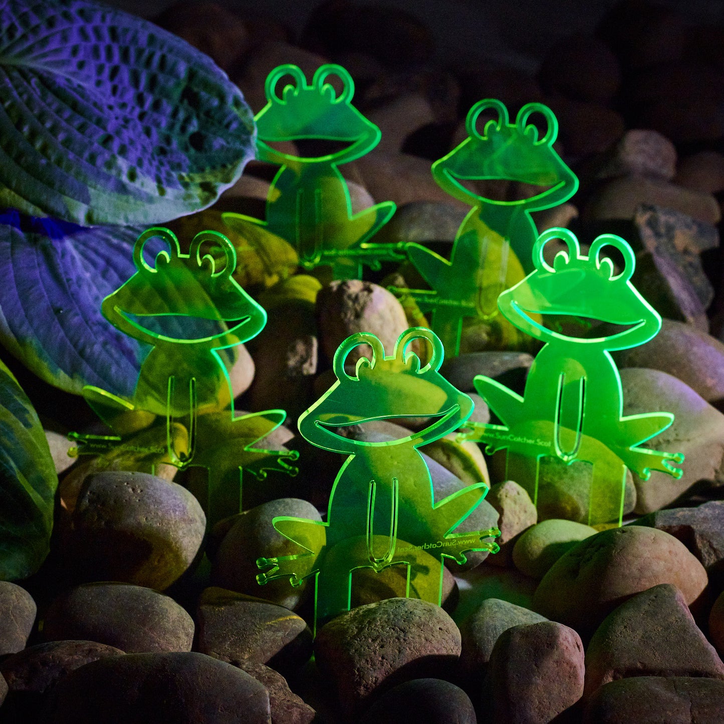 SunCatcher Set of 5 'Happy Frogs' fluorescent garden stake for pot and pond