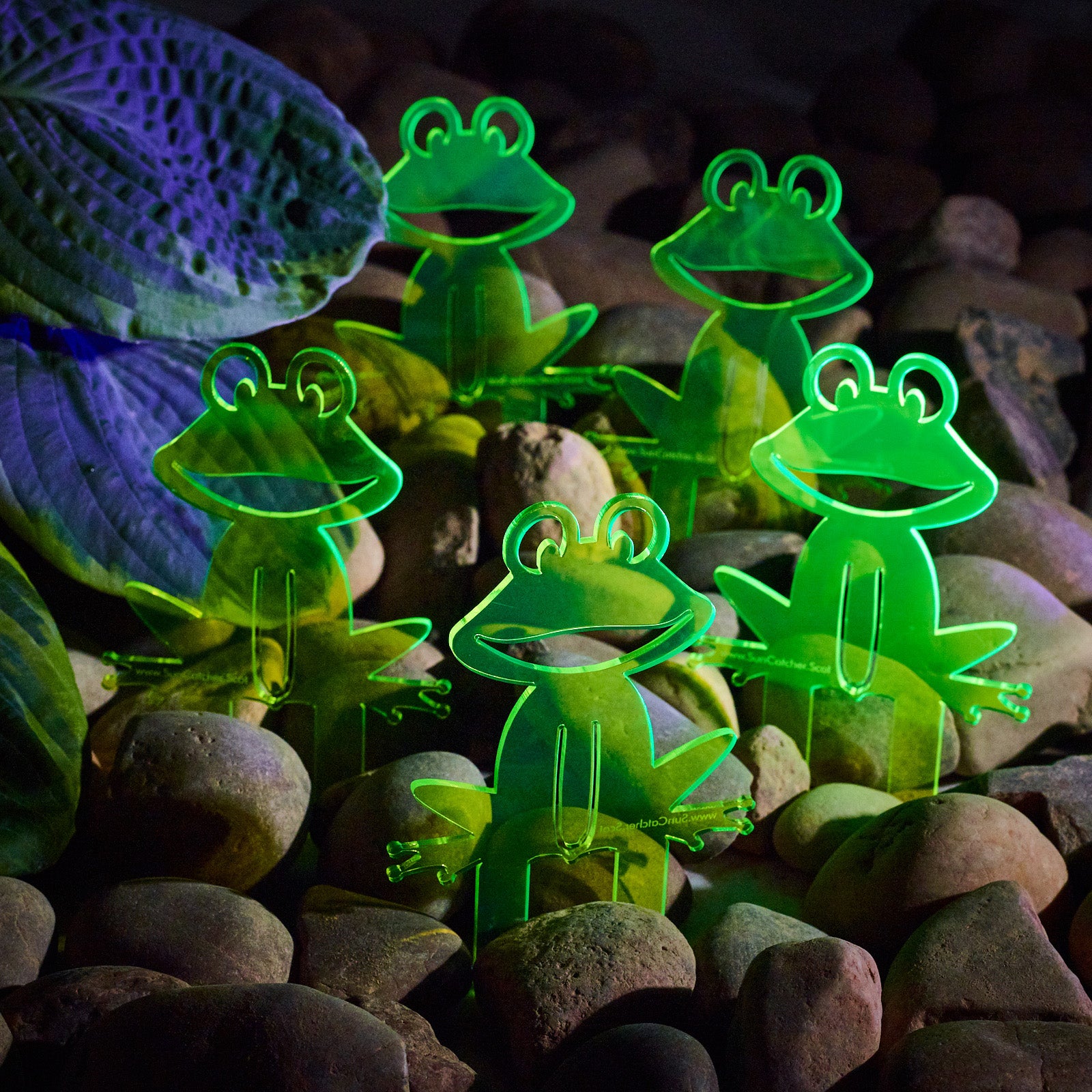 SunCatcher Set of 5 'Happy Frogs' fluorescent garden stake for pot and pond
