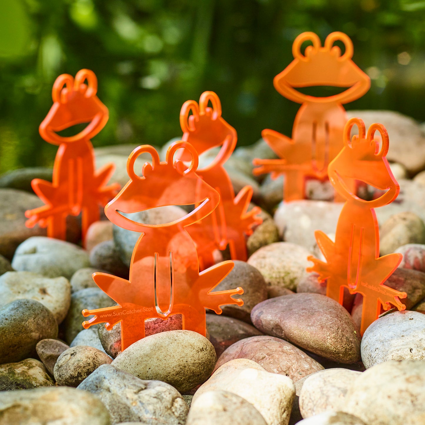 SunCatcher Set of 5 'Happy Frogs' fluorescent garden stake for pot and pond