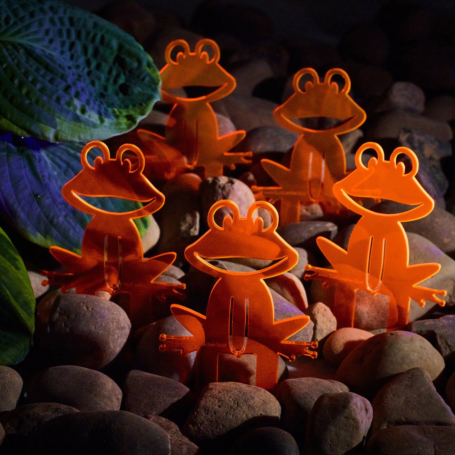 SunCatcher Set of 5 'Happy Frogs' fluorescent garden stake for pot and pond