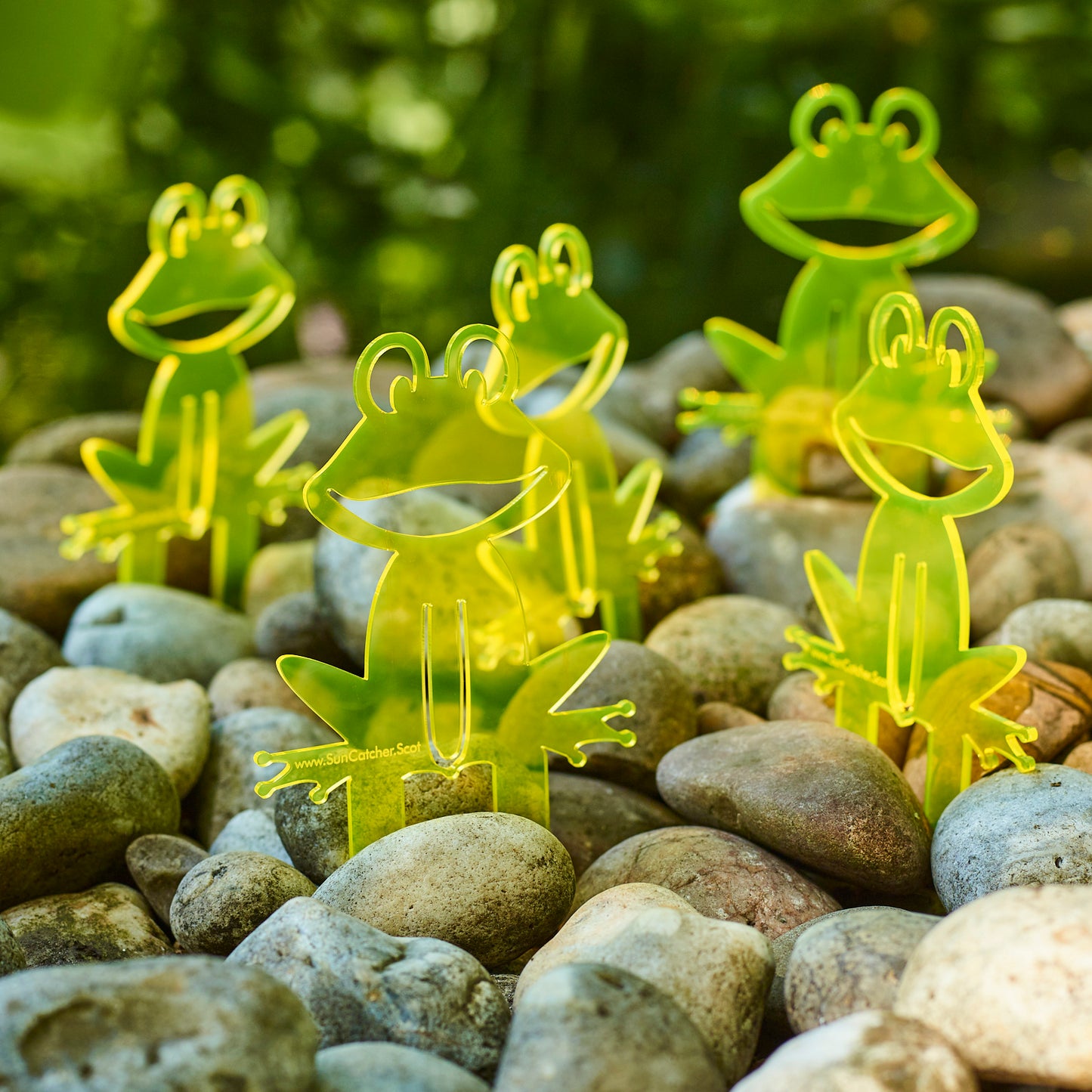 SunCatcher Set of 5 'Happy Frogs' fluorescent garden stake for pot and pond