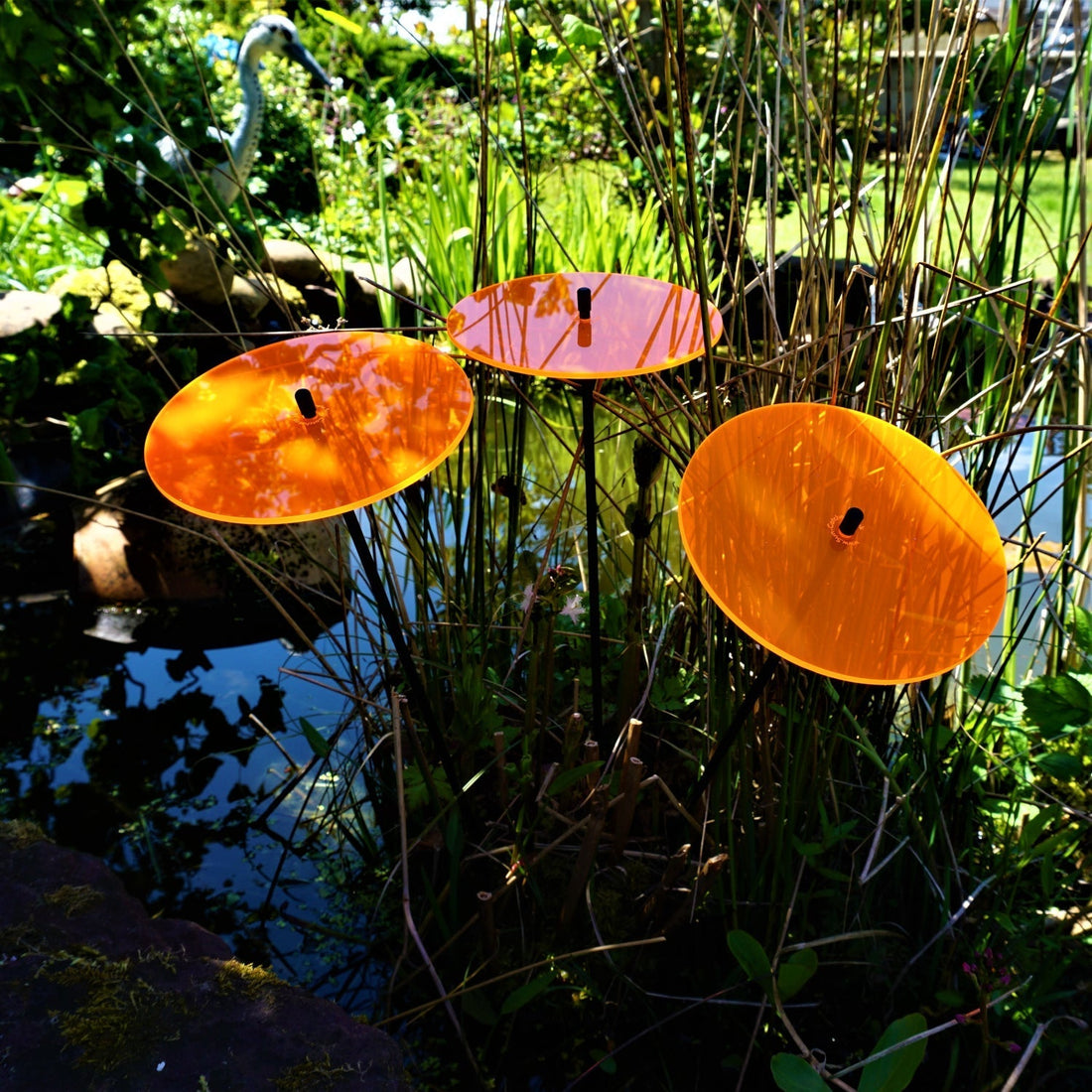 Garden Inspiration & Outdoor Living