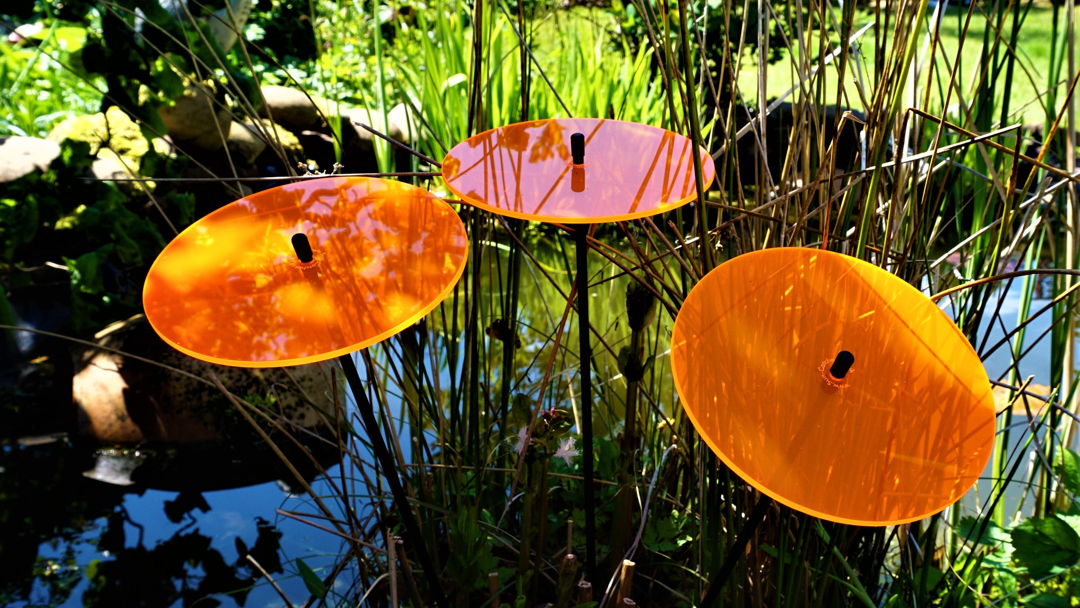 Orange SunCatcher acrylic garden stakes reflecting sunlight beside a peaceful garden pond