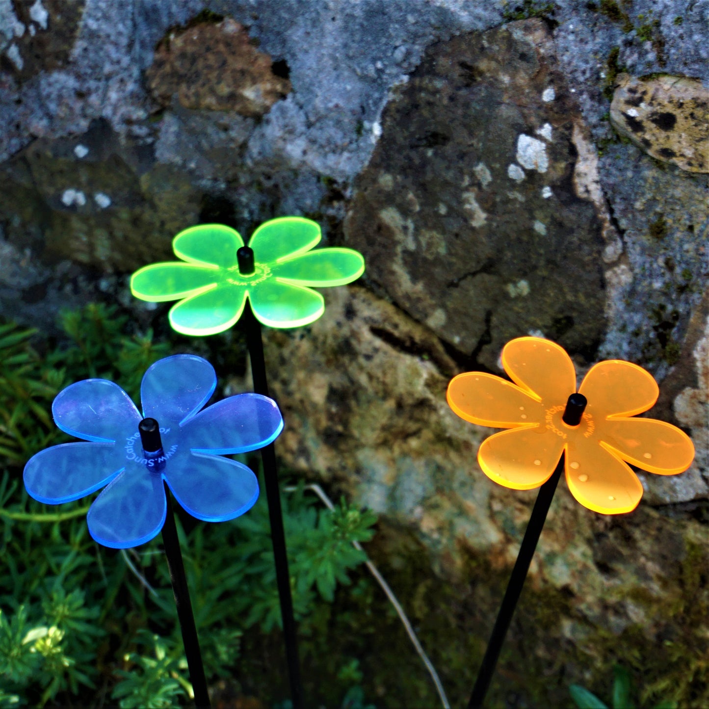 Medium SunCatcher Garden Decor Ornament Set of 3 Daisy in mixed colours