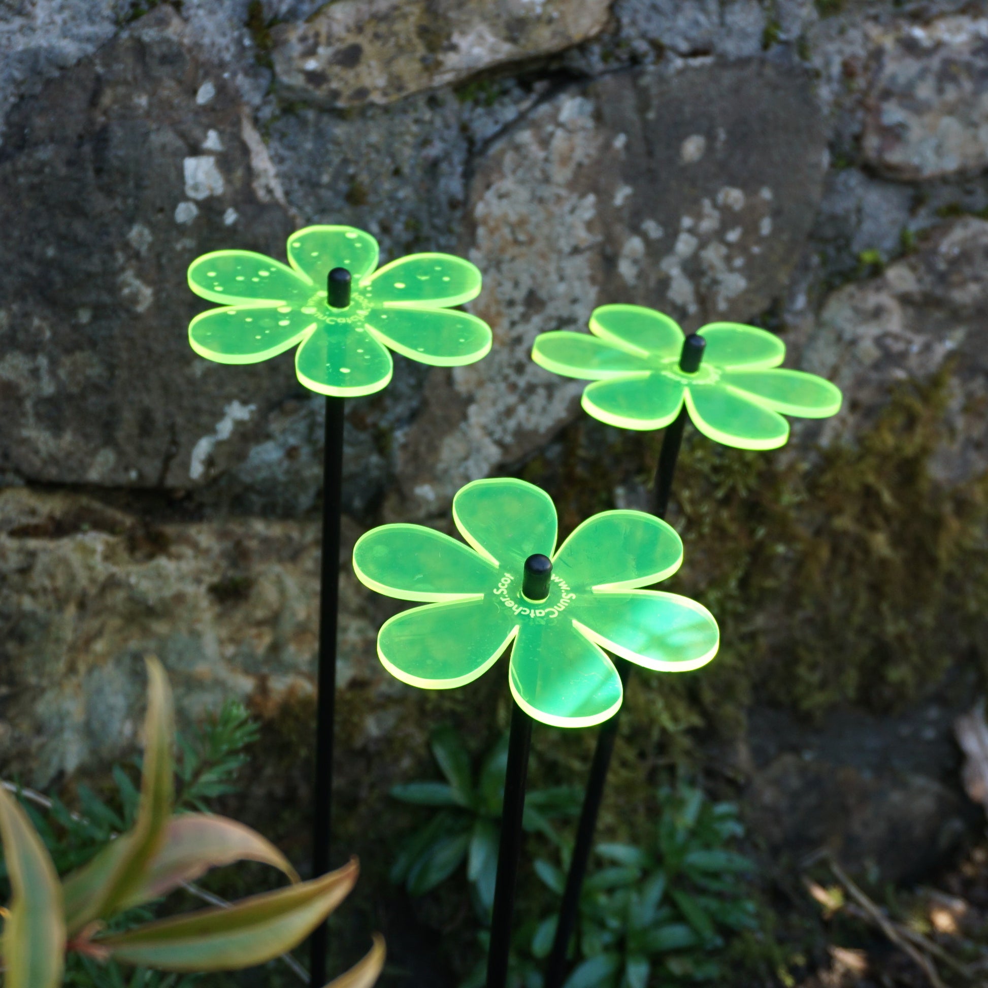 Medium SunCatcher Garden Decor Ornament Set of 3 Daisy in mixed colours