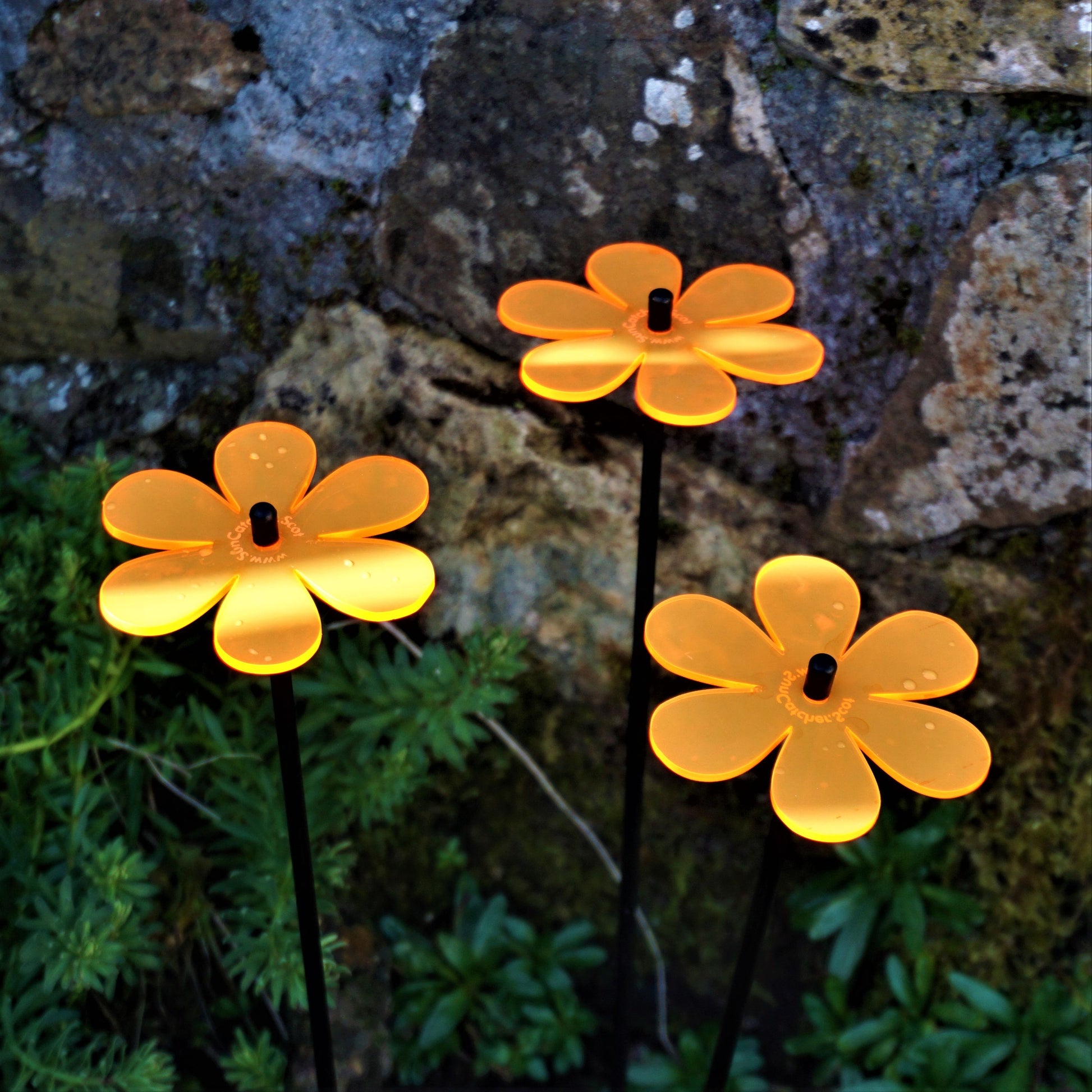 Medium SunCatcher Garden Decor Ornament Set of 3 Daisy in mixed colours