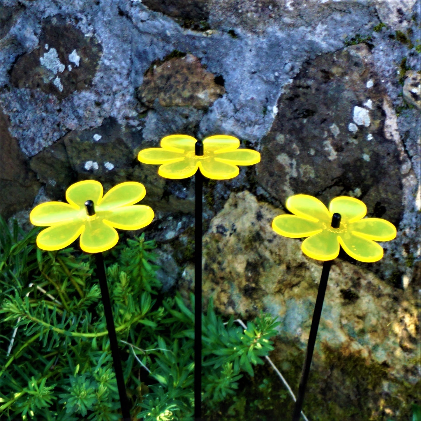 Medium SunCatcher Garden Decor Ornament Set of 3 Daisy in mixed colours