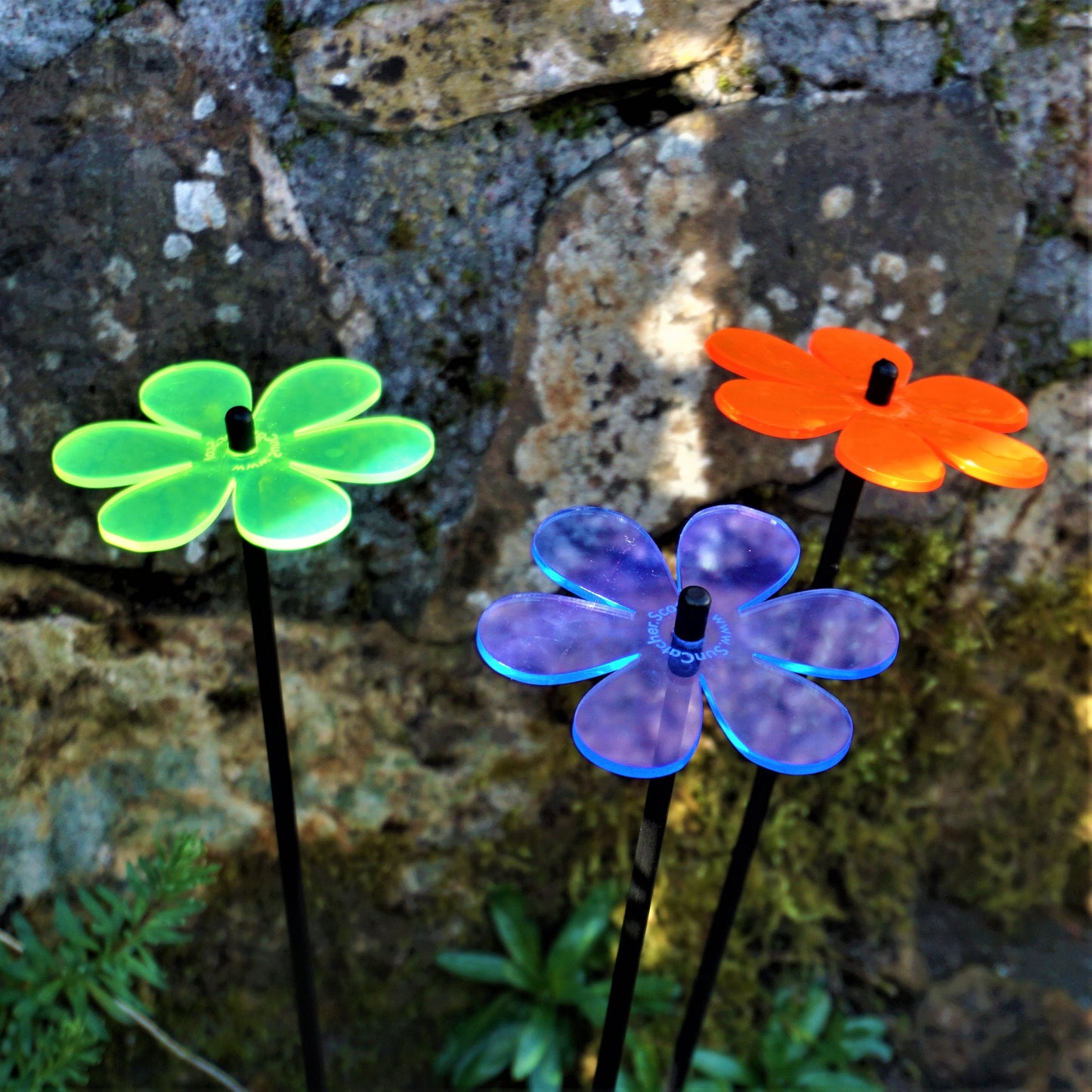 Medium SunCatcher Garden Decor Ornament Set of 3 Daisy in mixed colours