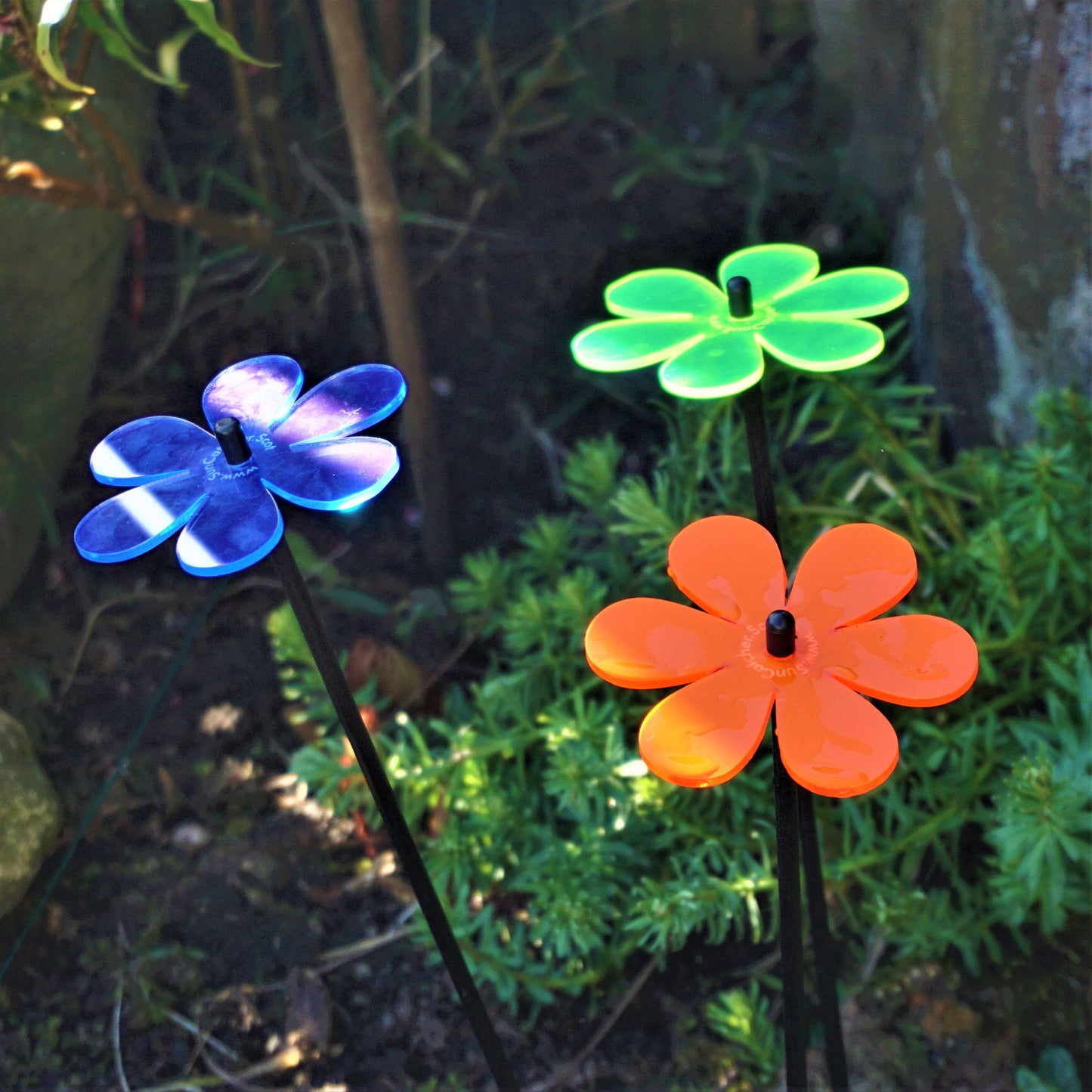 Medium SunCatcher Garden Decor Ornament Set of 3 Daisy in mixed colours