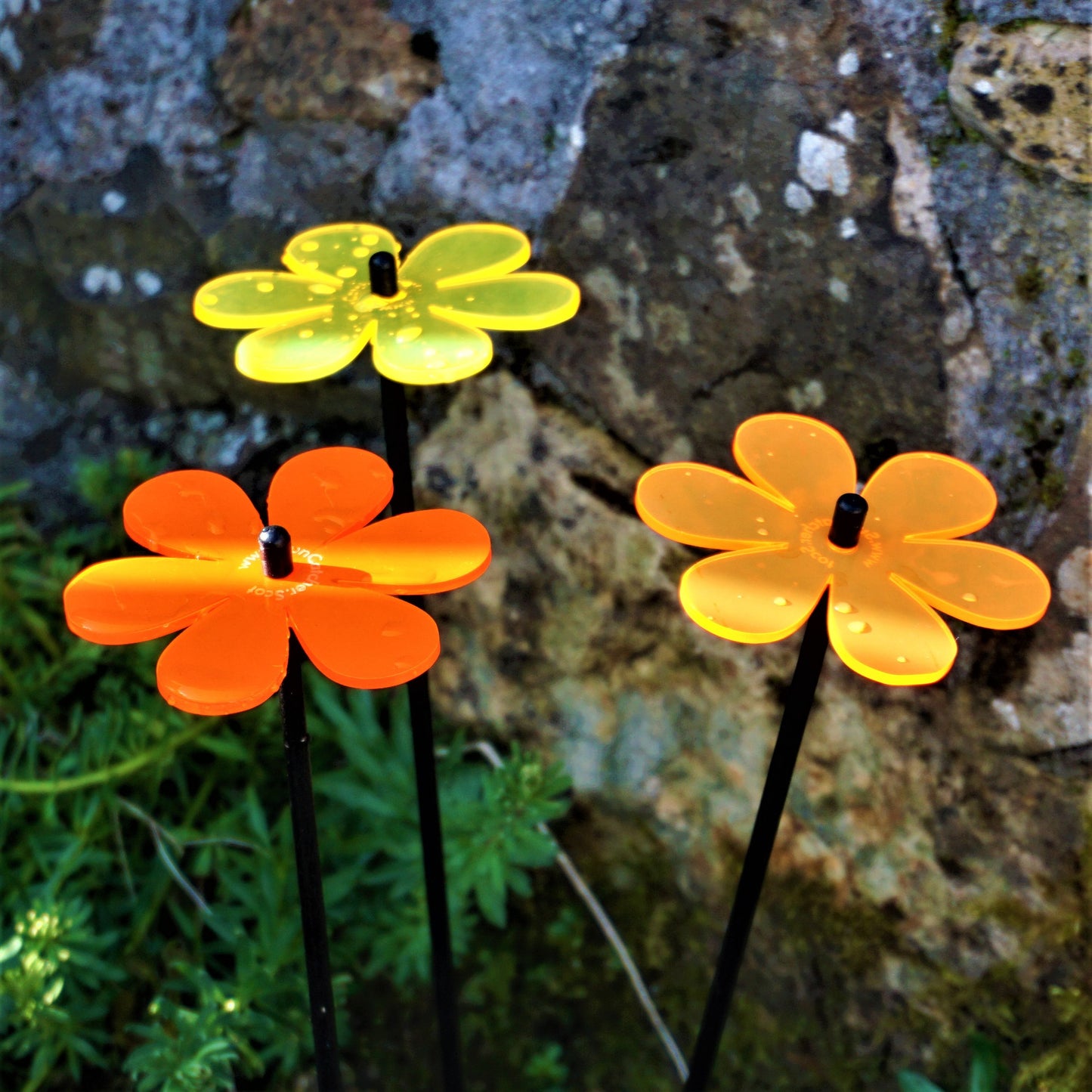 Medium SunCatcher Garden Decor Ornament Set of 3 Daisy in mixed colours