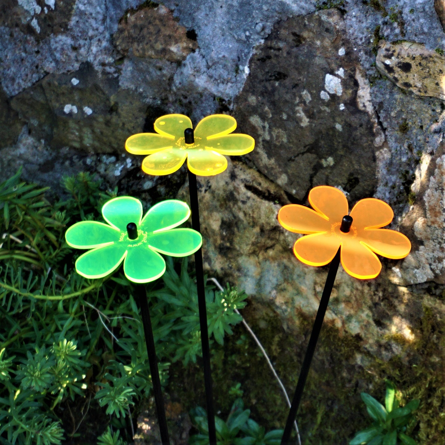 Medium SunCatcher Garden Decor Ornament Set of 3 Daisy in mixed colours