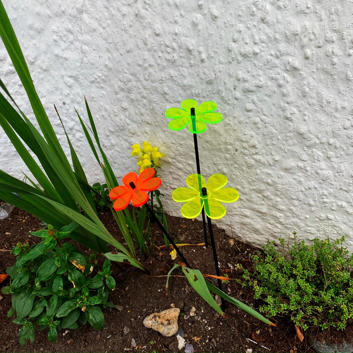 Medium SunCatcher Garden Decor Ornament Set of 3 Daisy in mixed colours