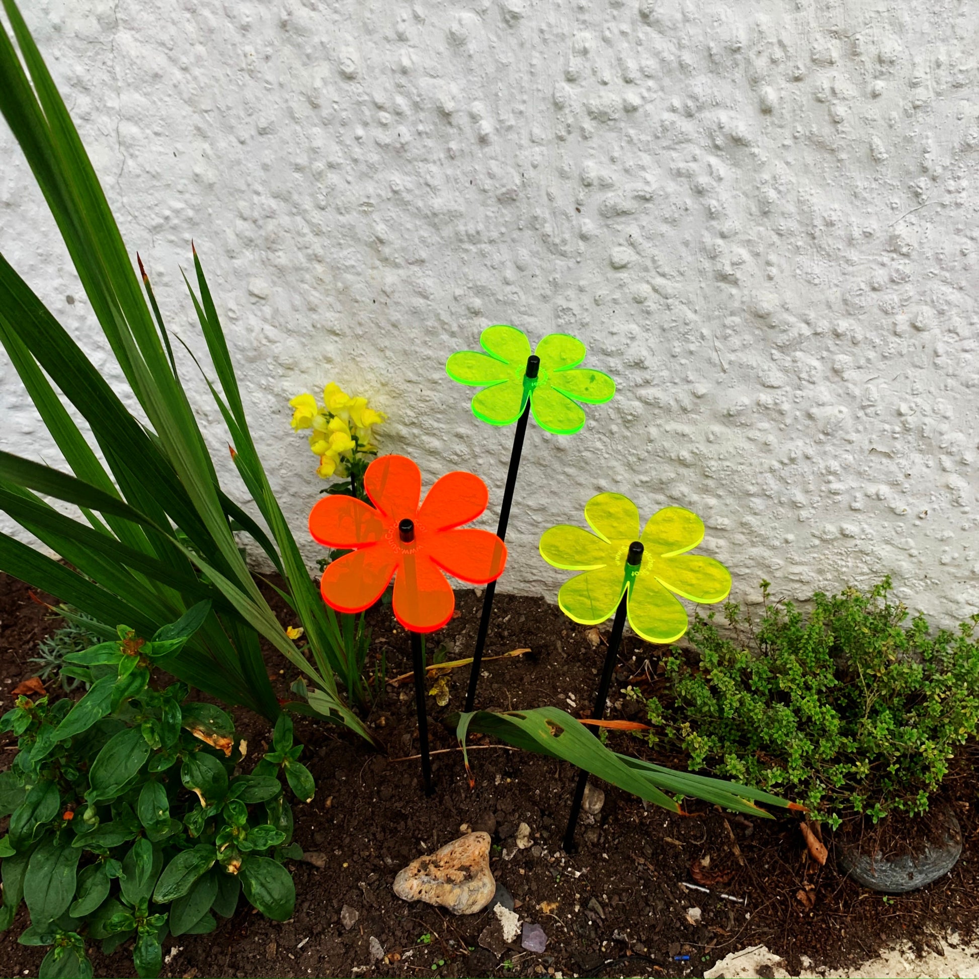 Medium SunCatcher Garden Decor Ornament Set of 3 Daisy in mixed colours