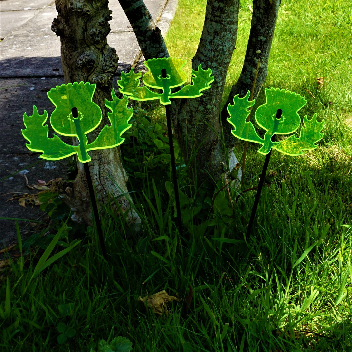 Large Garden Decor Ornaments Set of 3 'Scottish Thistles'