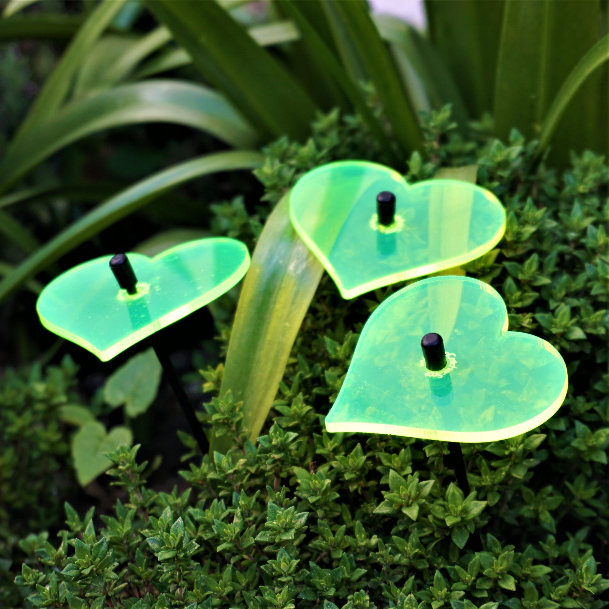 SunCatcher Set of 3: Heart glowing garden decor fluorescent love decor valentine