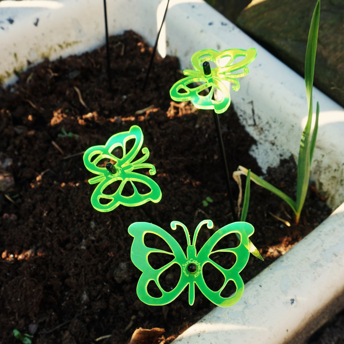 SunCatcher Glow from Dawn to Dusk Butterfly Garden Ornament 3 Small Decorations