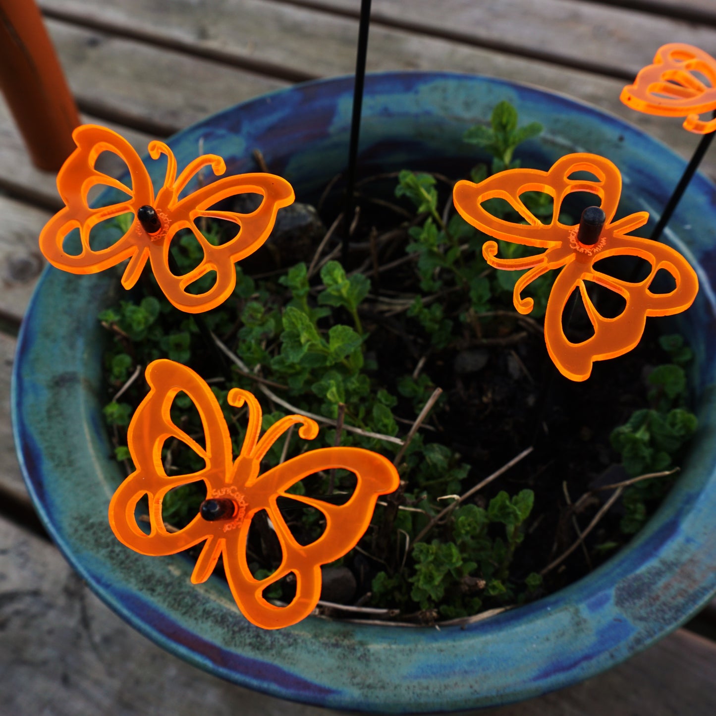 SunCatcher Glow from Dawn to Dusk Butterfly Garden Ornament 3 Small Decorations