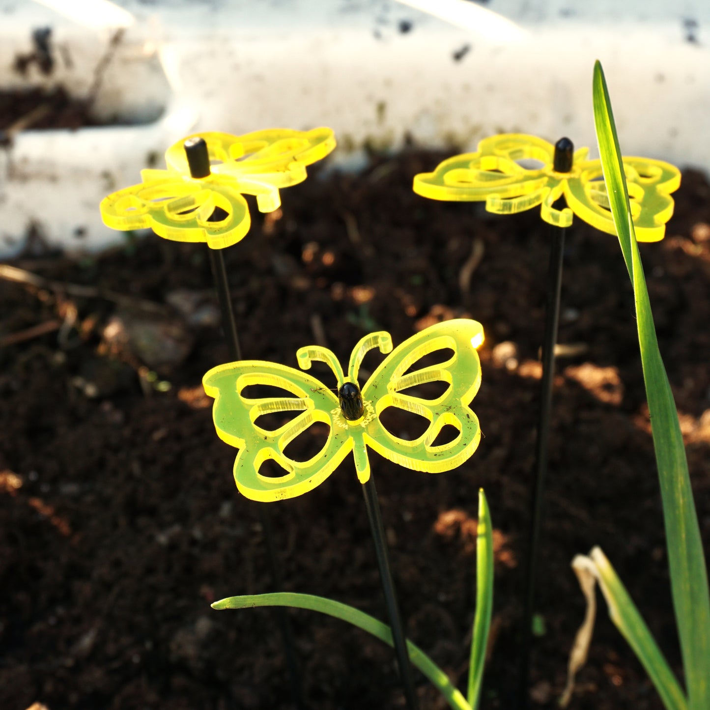 SunCatcher Glow from Dawn to Dusk Butterfly Garden Ornament 3 Small Decorations