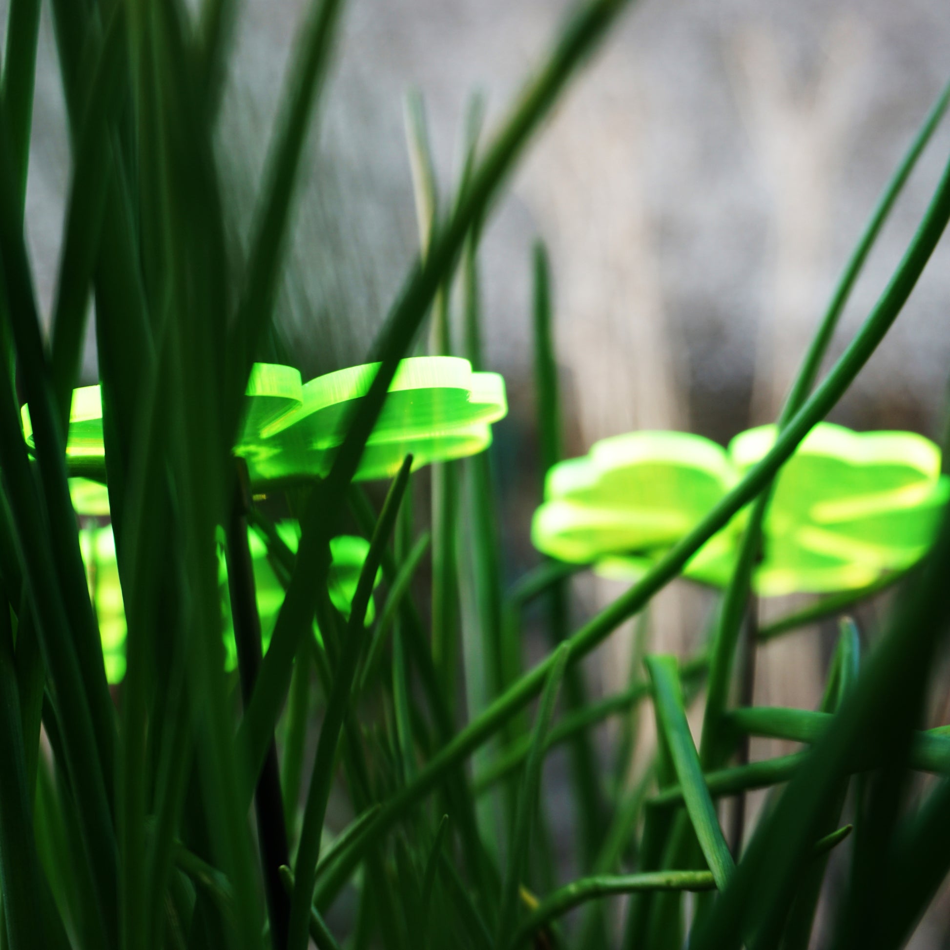 SunCatcher Set of 3: Flower | GLOW AT DUSK AND DAWN | colourful garden ornament