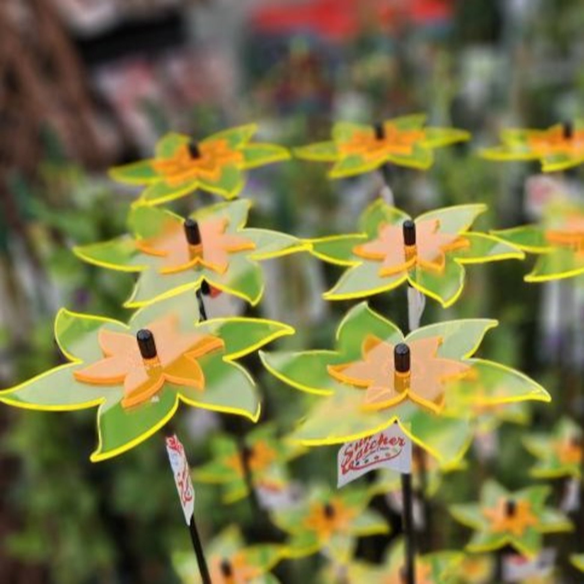  Large Garden Decor Ornaments Set of 3 'Daffodils'