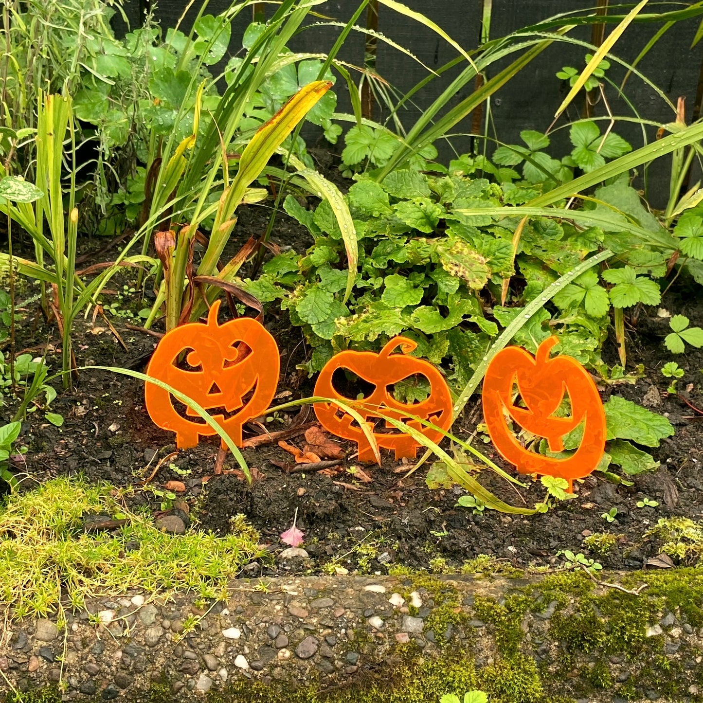 SunCatcher Set of 3 'Pumpkins' Glowing Halloween Garden Decoration Stake Pot