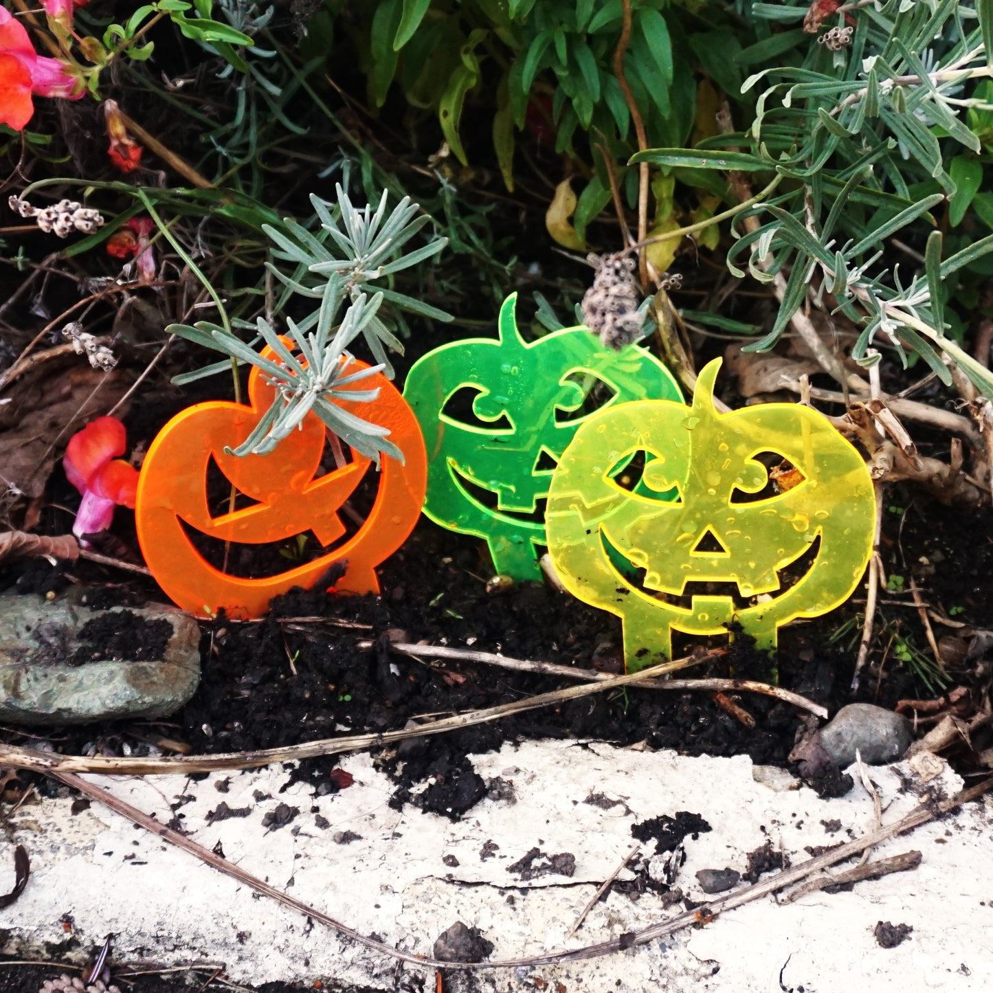 SunCatcher Set of 3 'Pumpkins' Glowing Halloween Garden Decoration Stake Pot