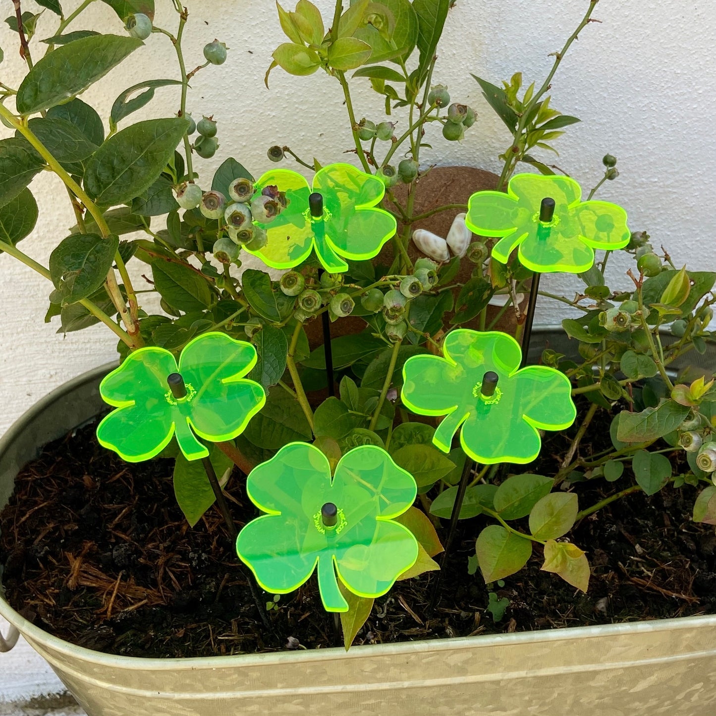 Small SunCatcher Set of 5 Lucky Shamrock