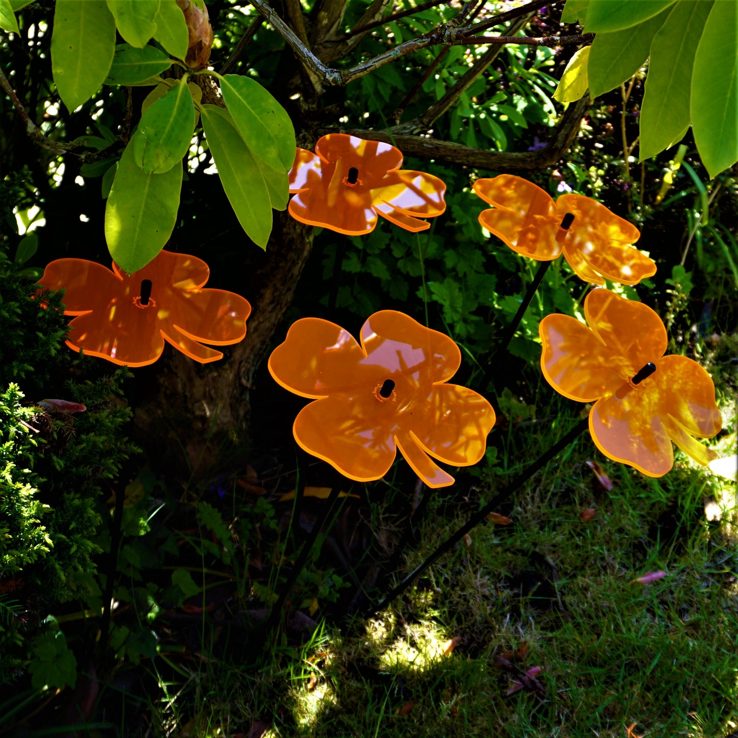 Large SunCatcher Set of 5 Lucky Shamrock