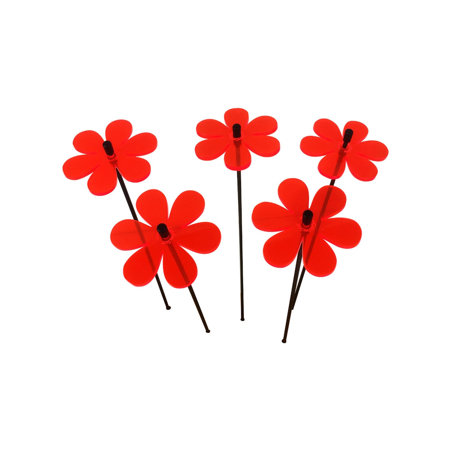 Sales Display Tabitha Daisy