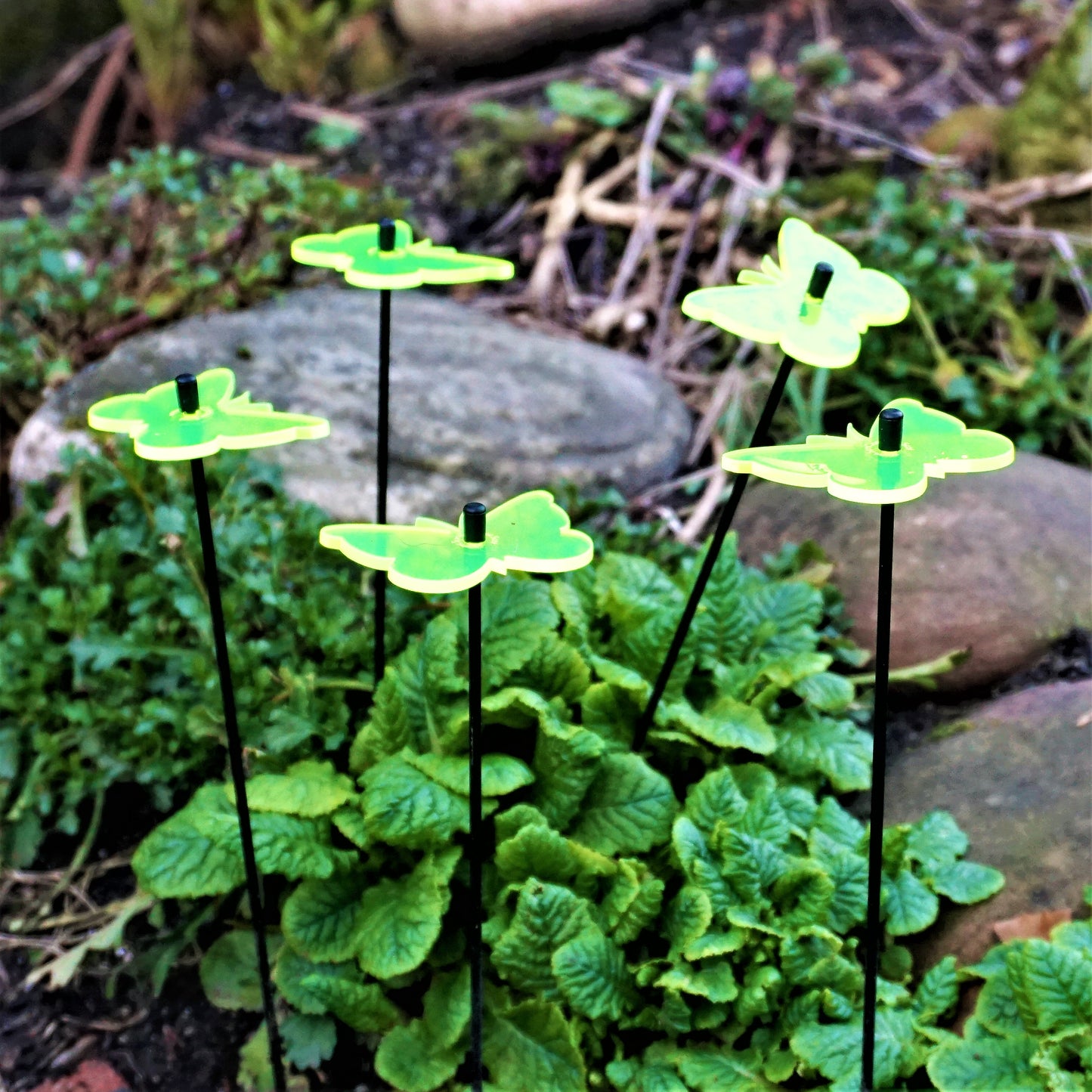 Small Garden Décor Ornaments Set of 5 'Gatekeeper Butterfly'