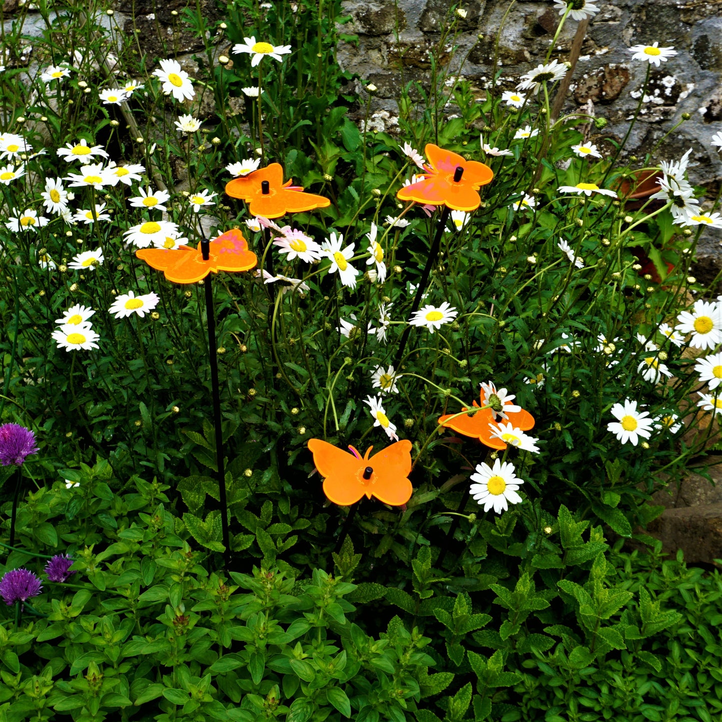 SunCatcher Set of 5 Butterfly Colourful Glowing Garden Ornament Stake 50cm high