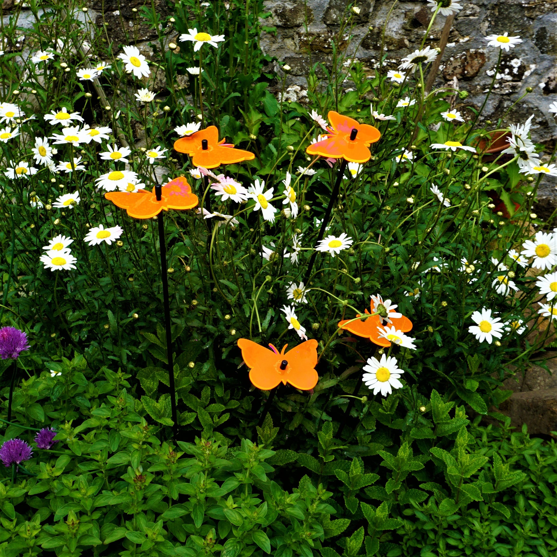 SunCatcher Set of 5 Butterfly Colourful Glowing Garden Ornament Stake 50cm high